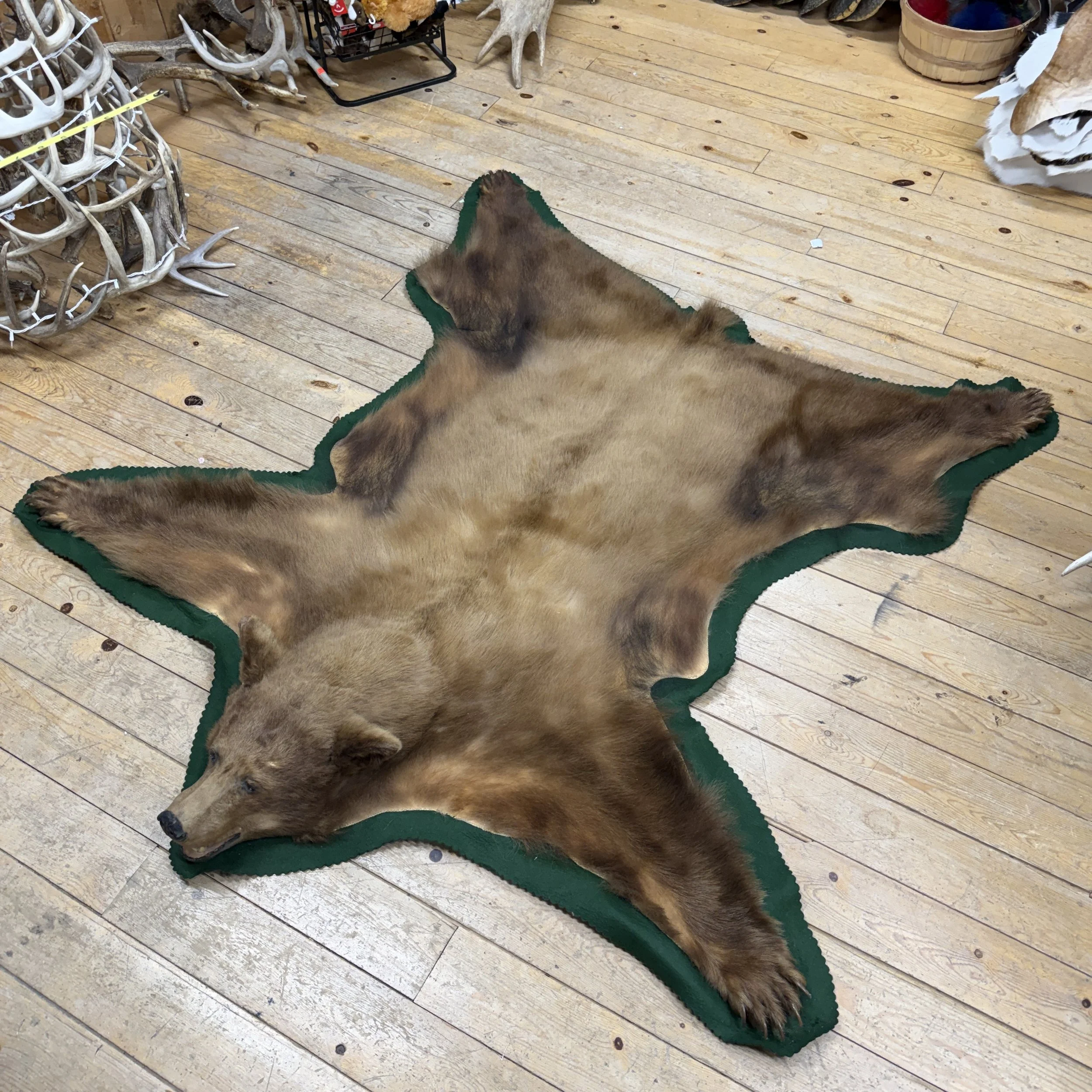 Black Bear Rug