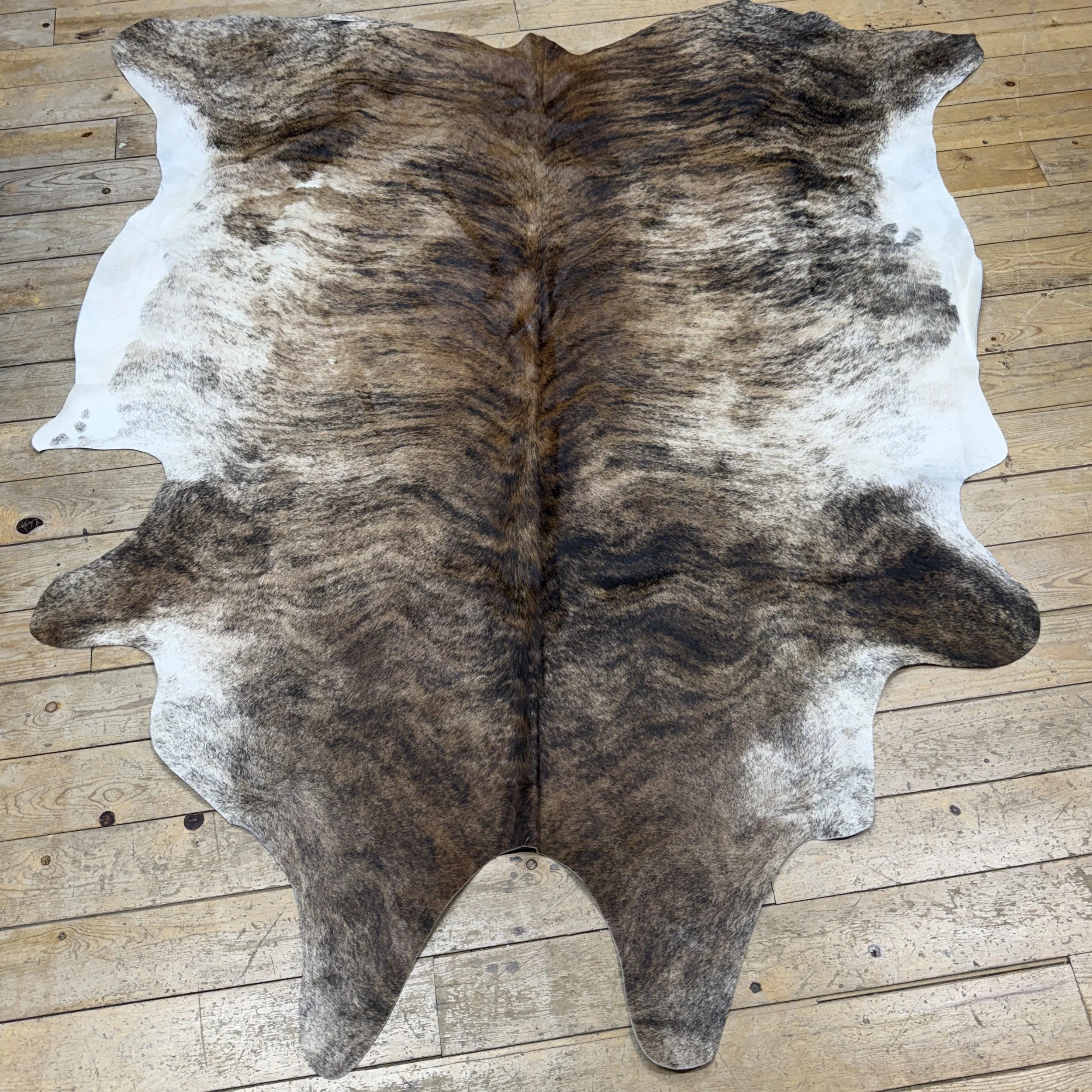 Cow hide #24