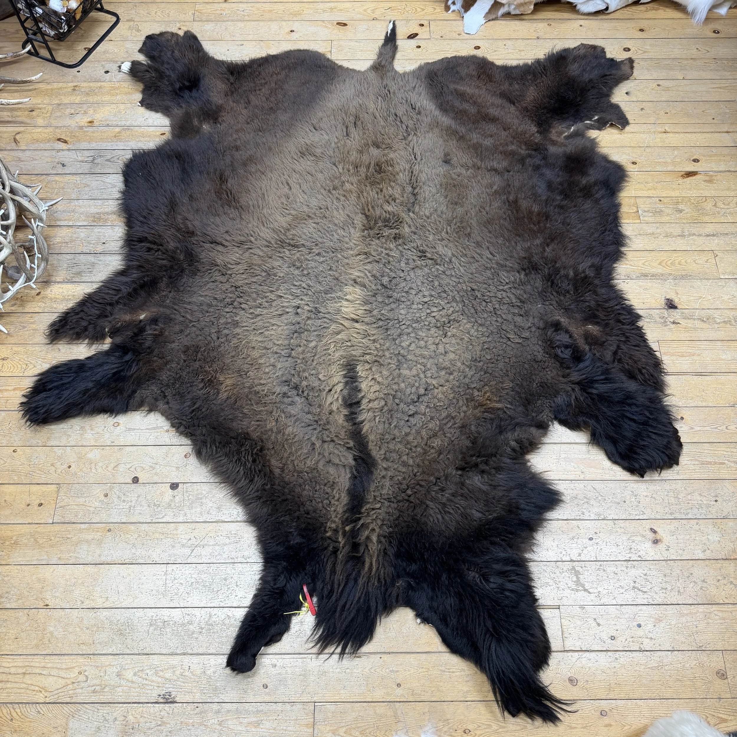 buffalo hide