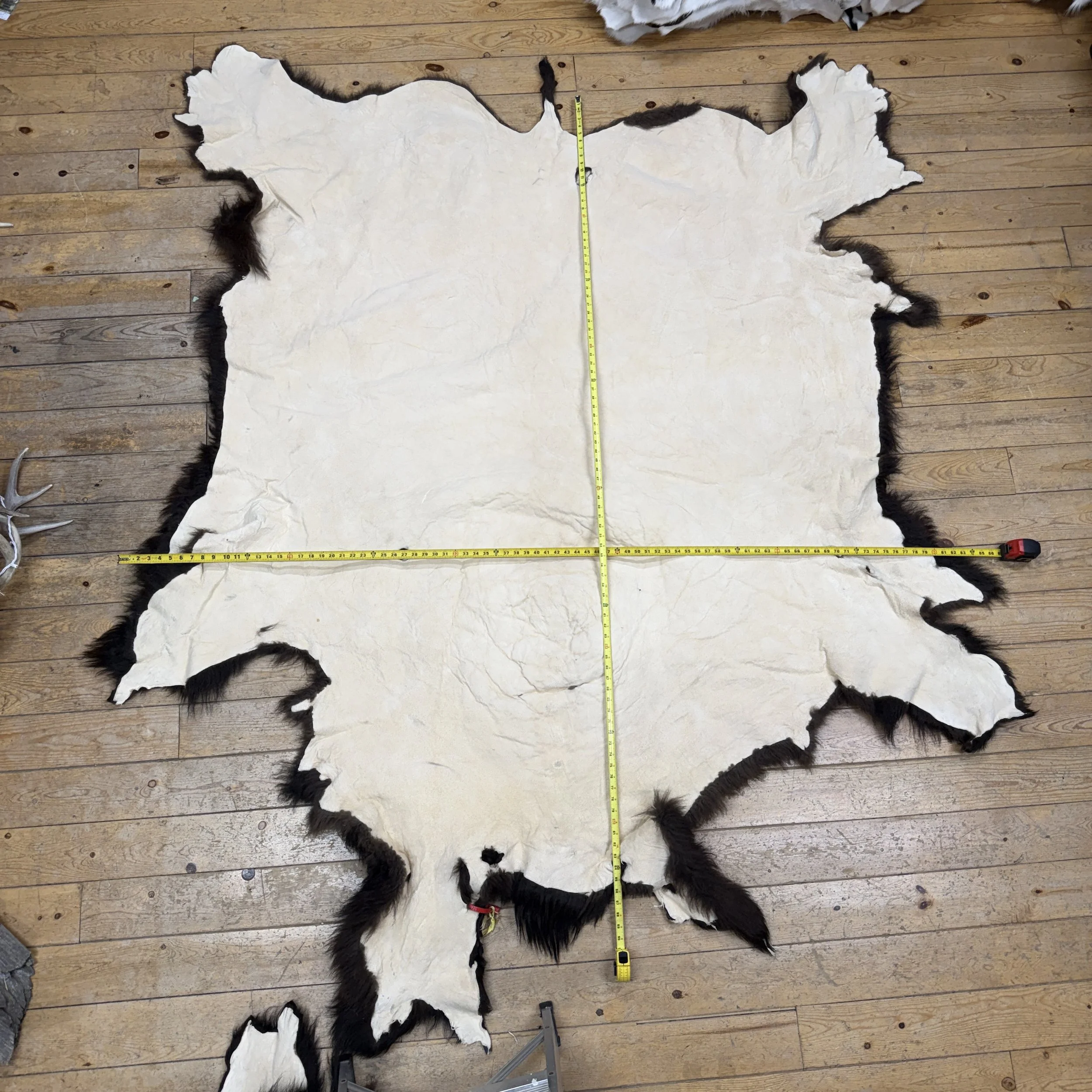 Buffalo Hide