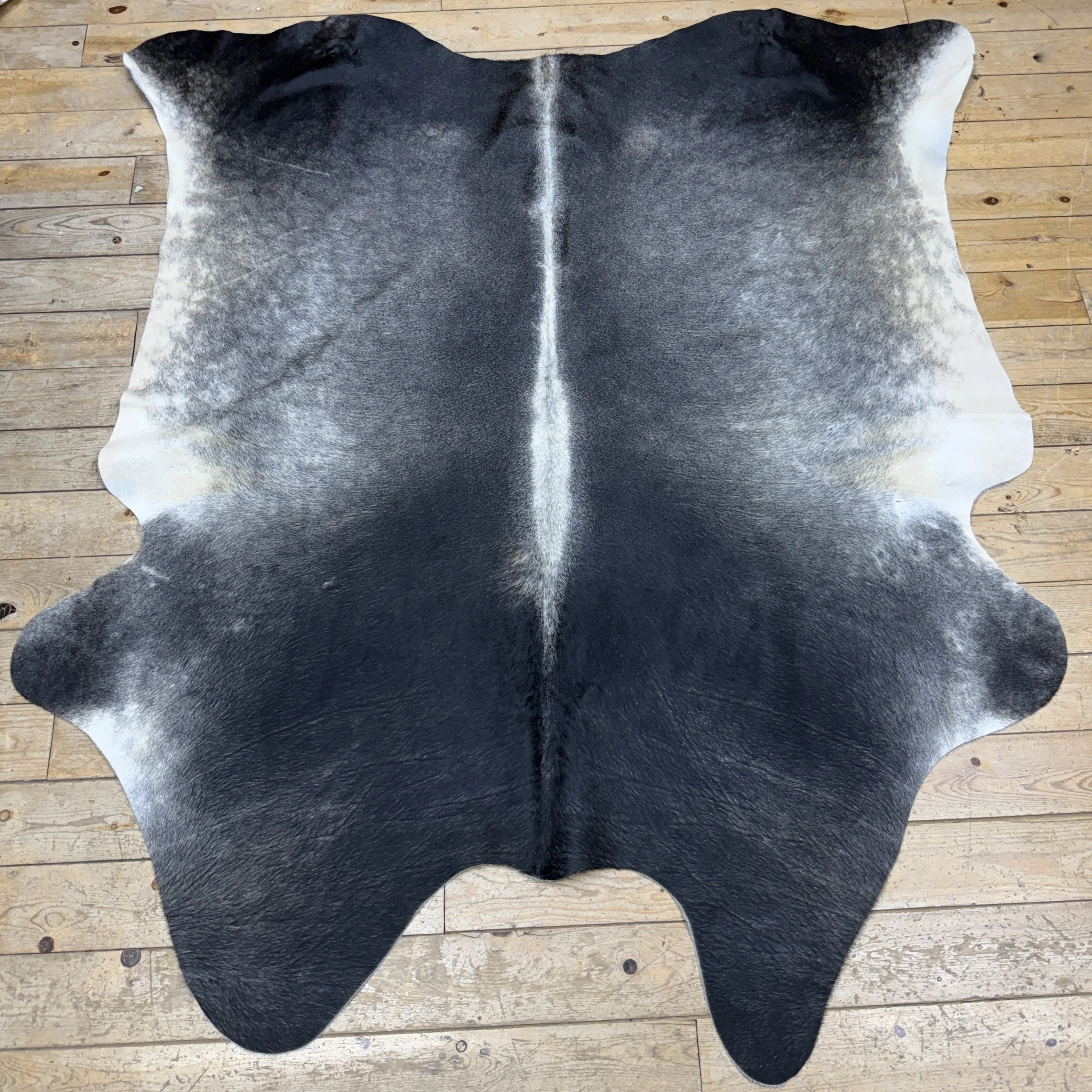 Cow Hide #17