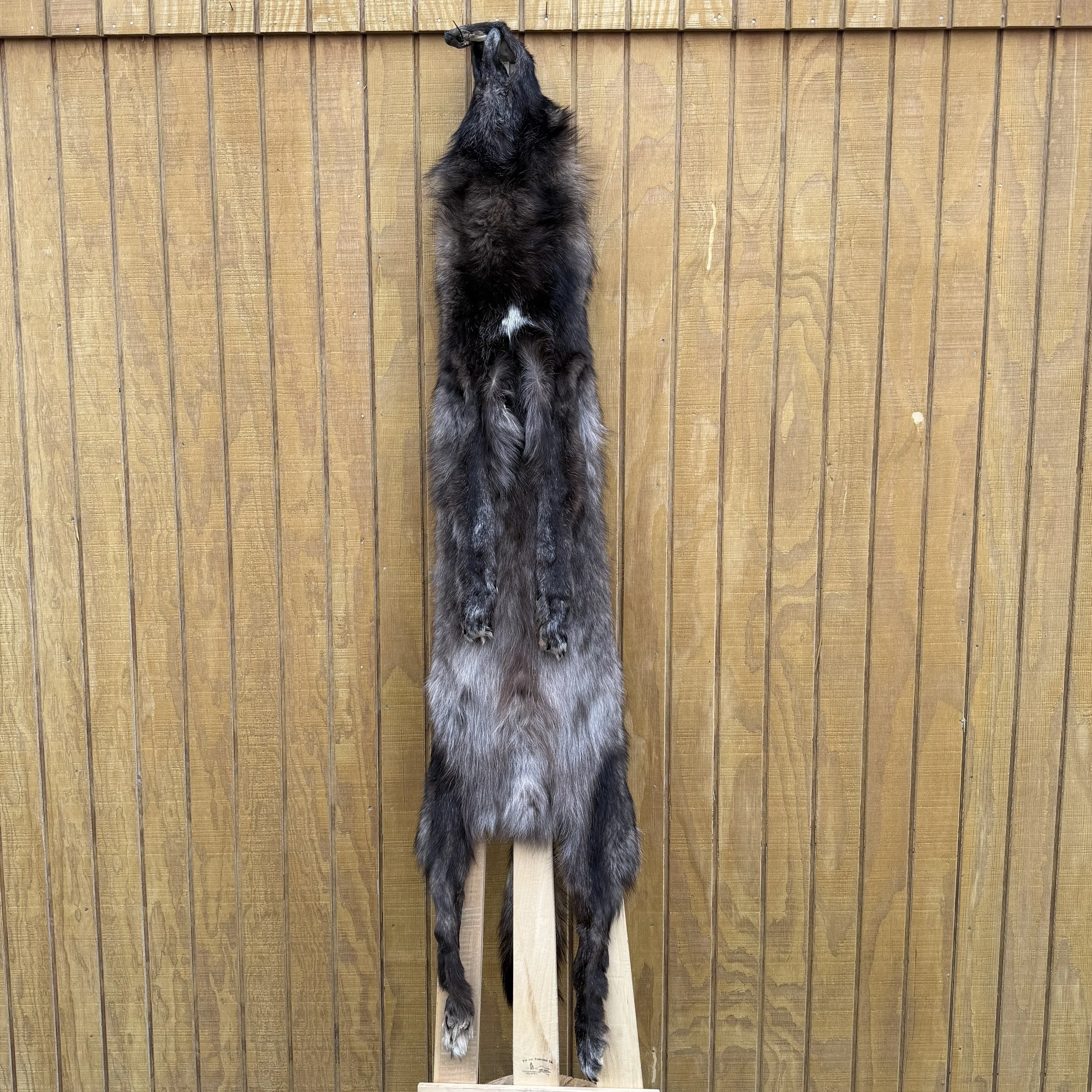 wolf pelt