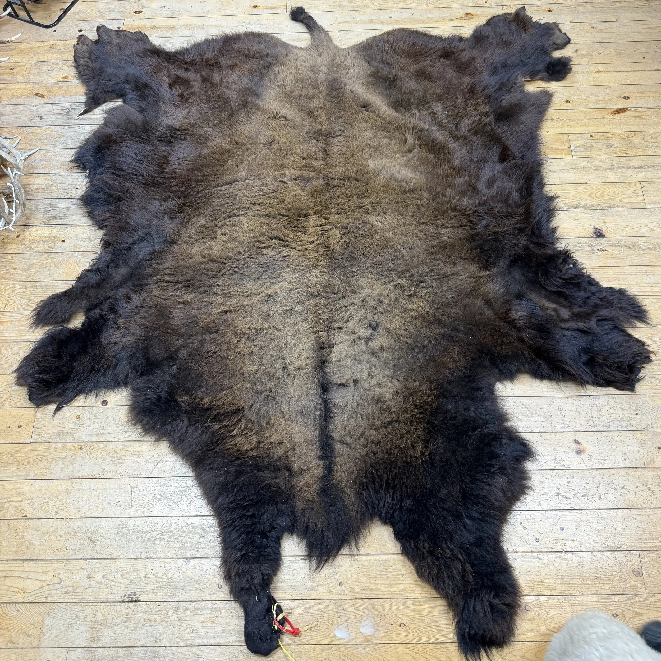 Buffalo Hide #21