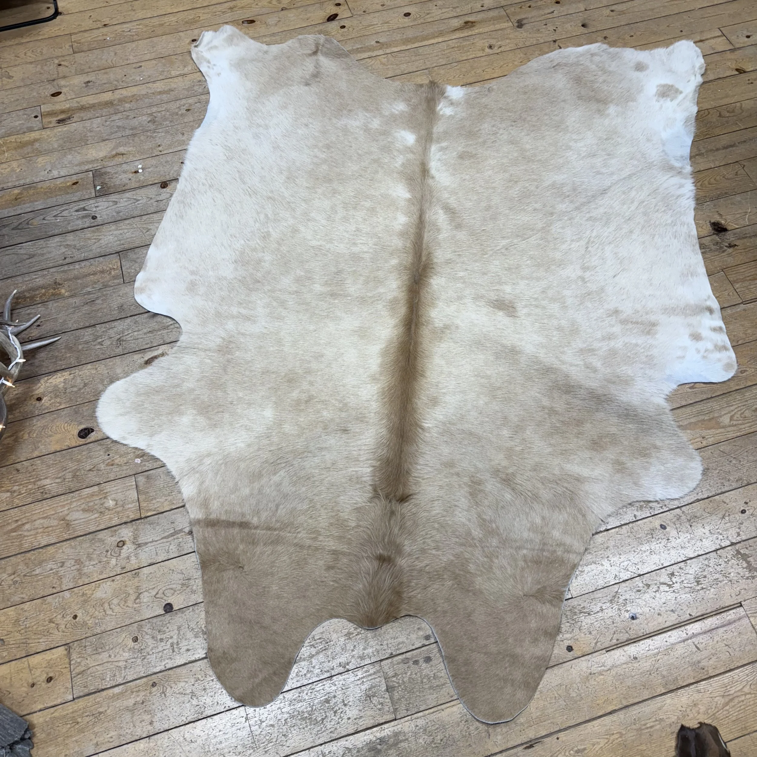 Cow Hide