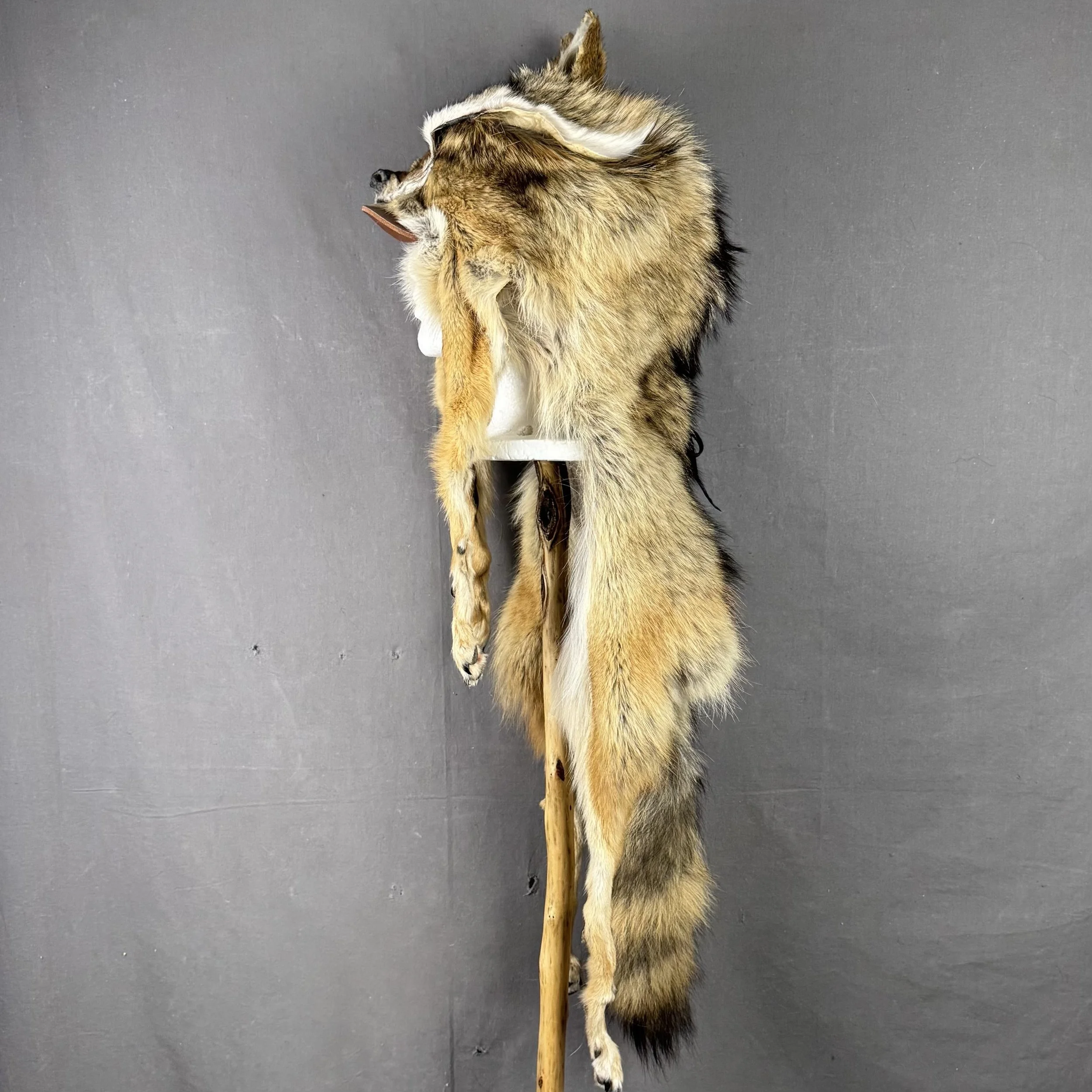 Coyote Mountain Man Hat with bill, face, tail and feet