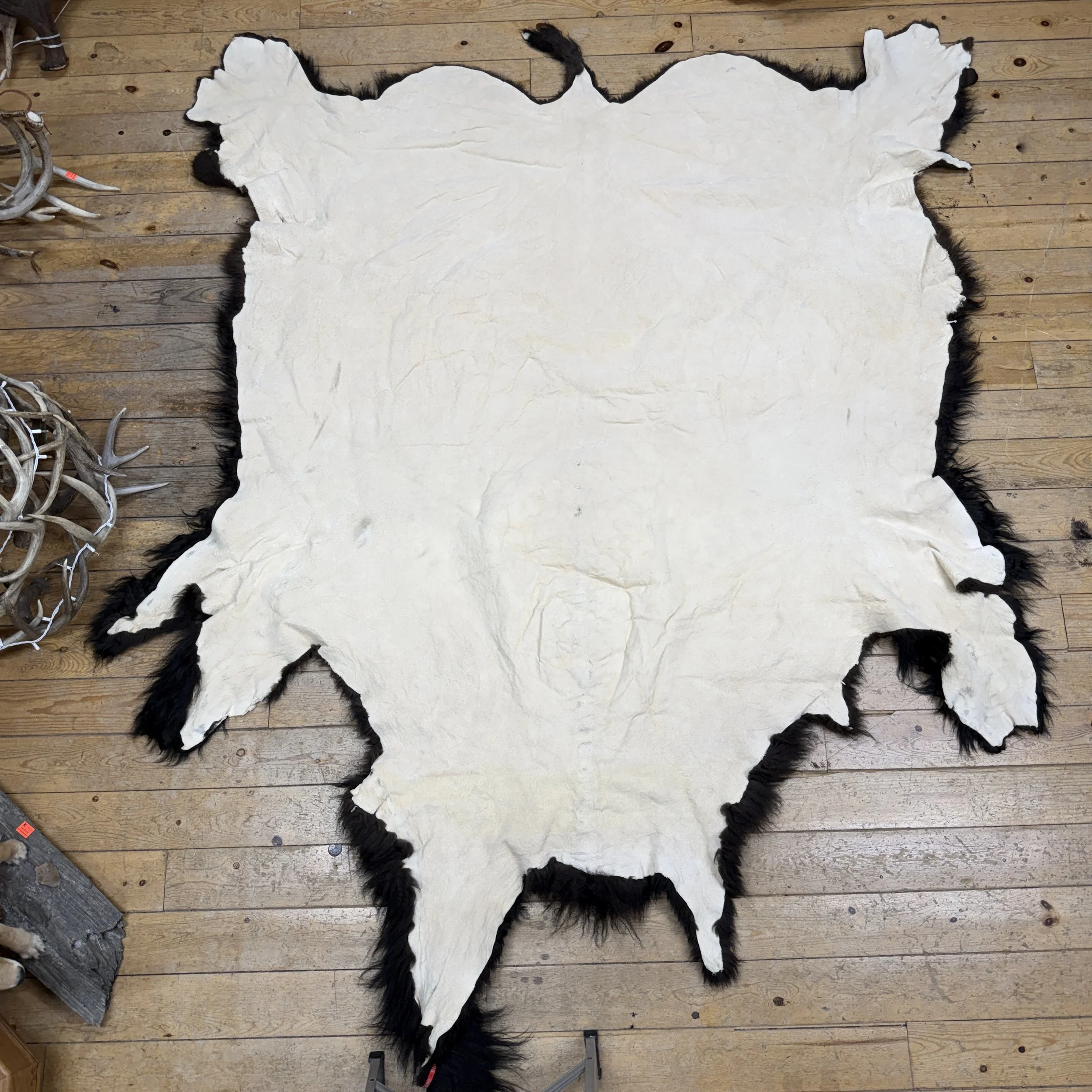 Buffalo Hide