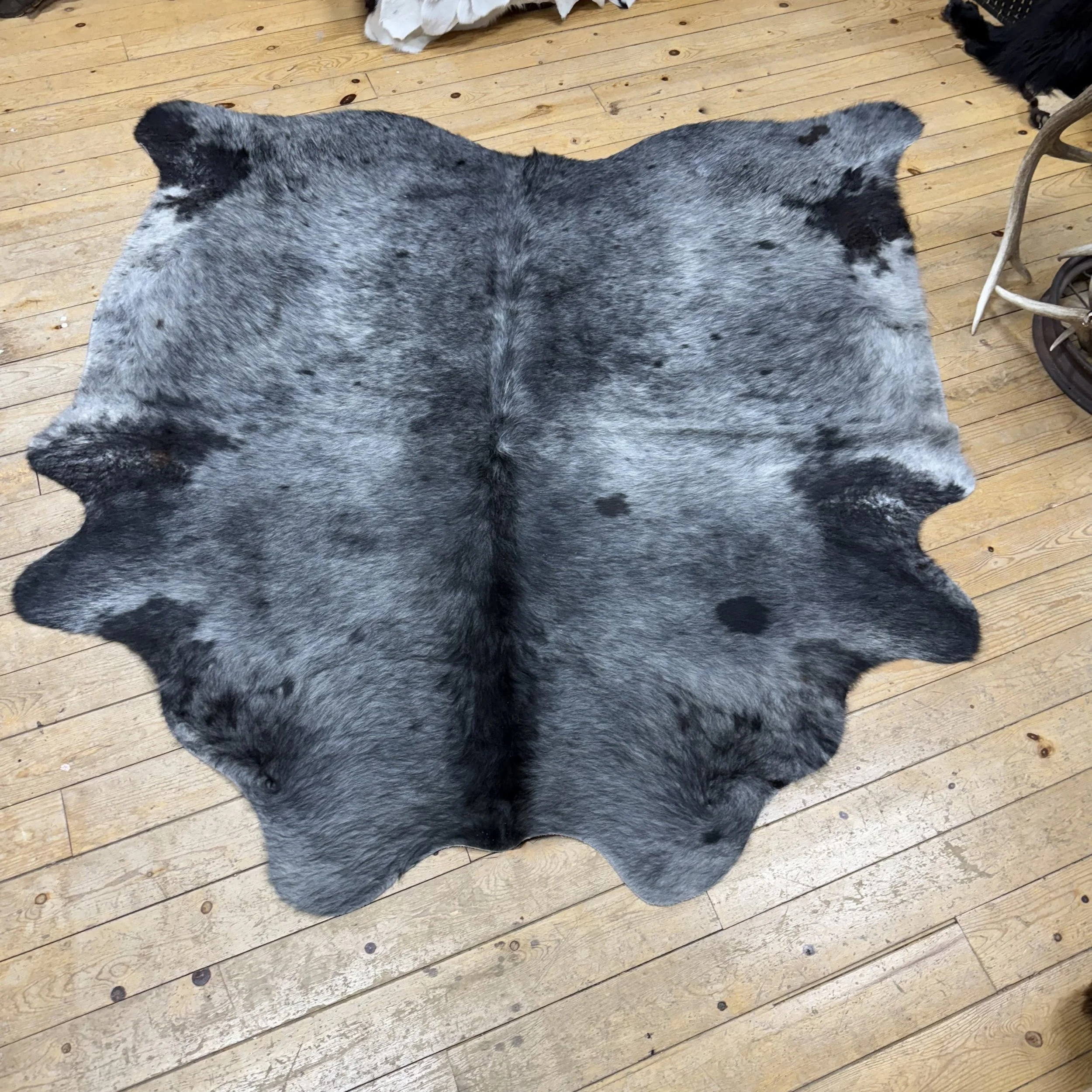Cow Hide #17