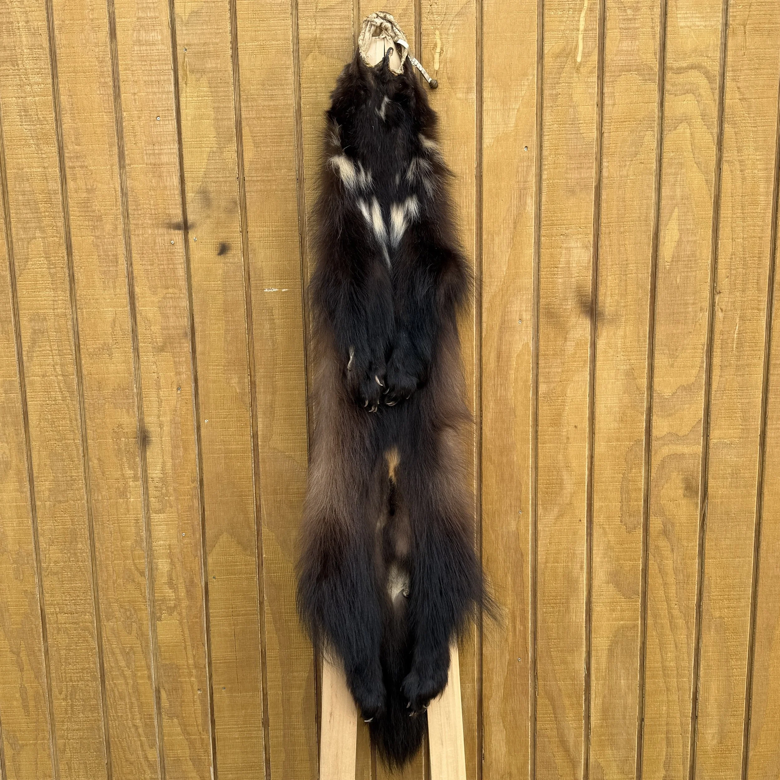 Wolverine pelt