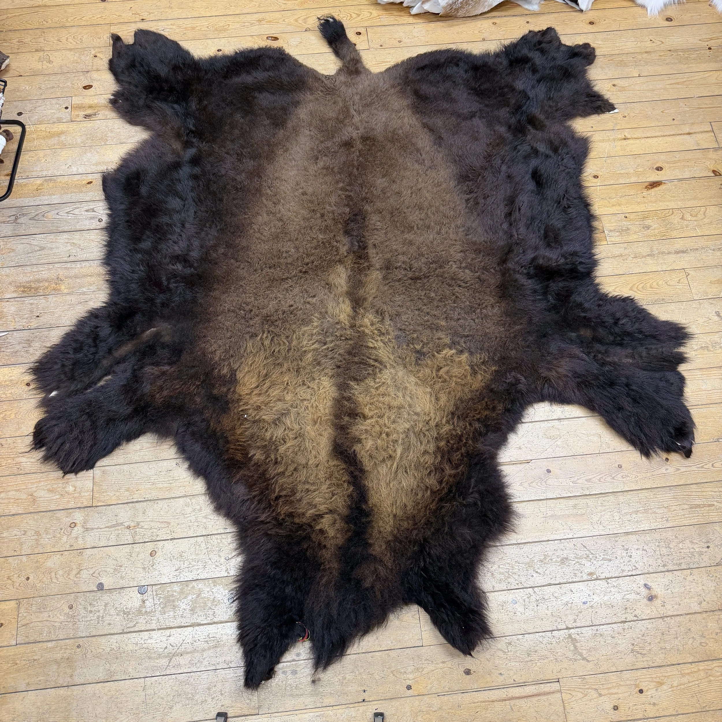 Buffalo Hide #13