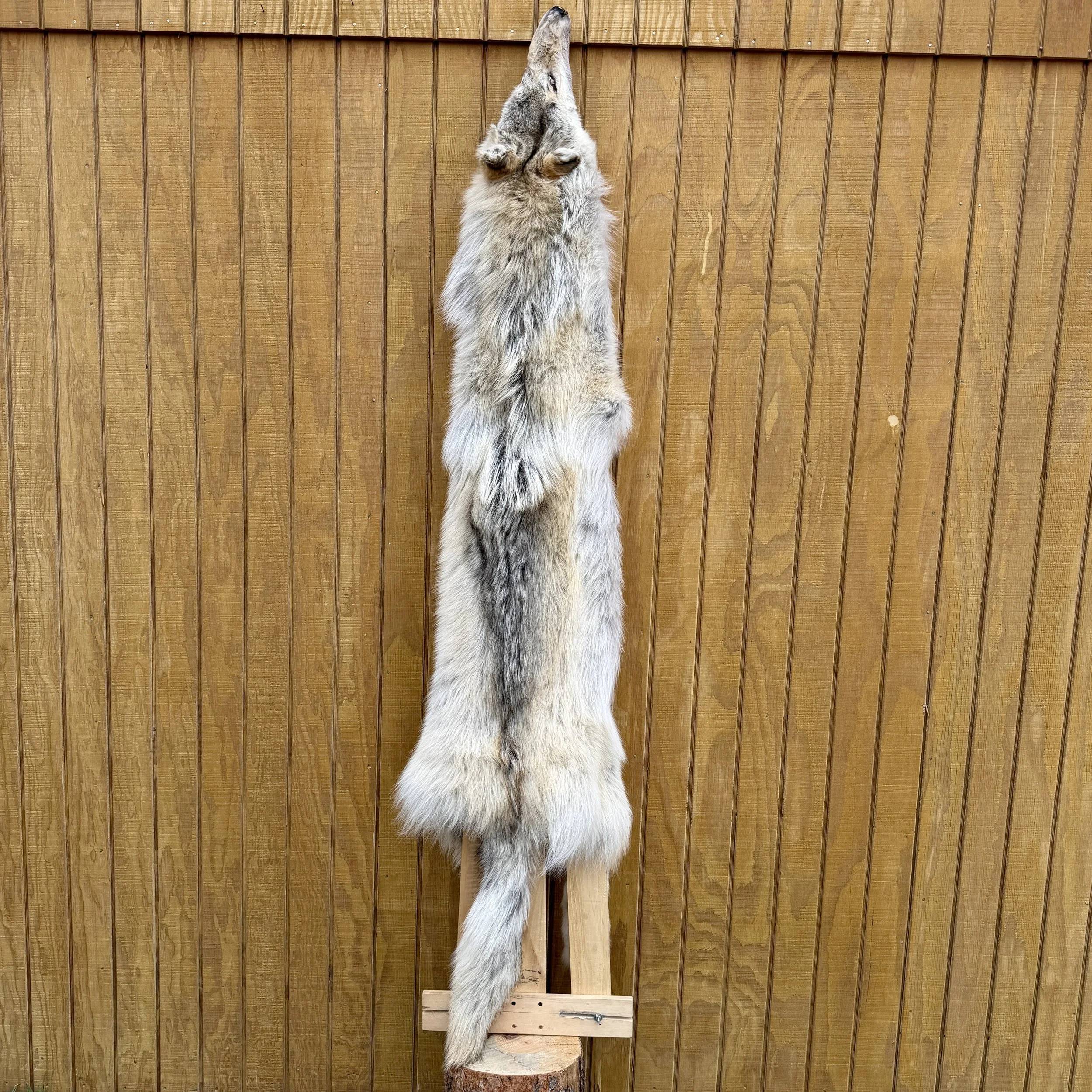wolf hide