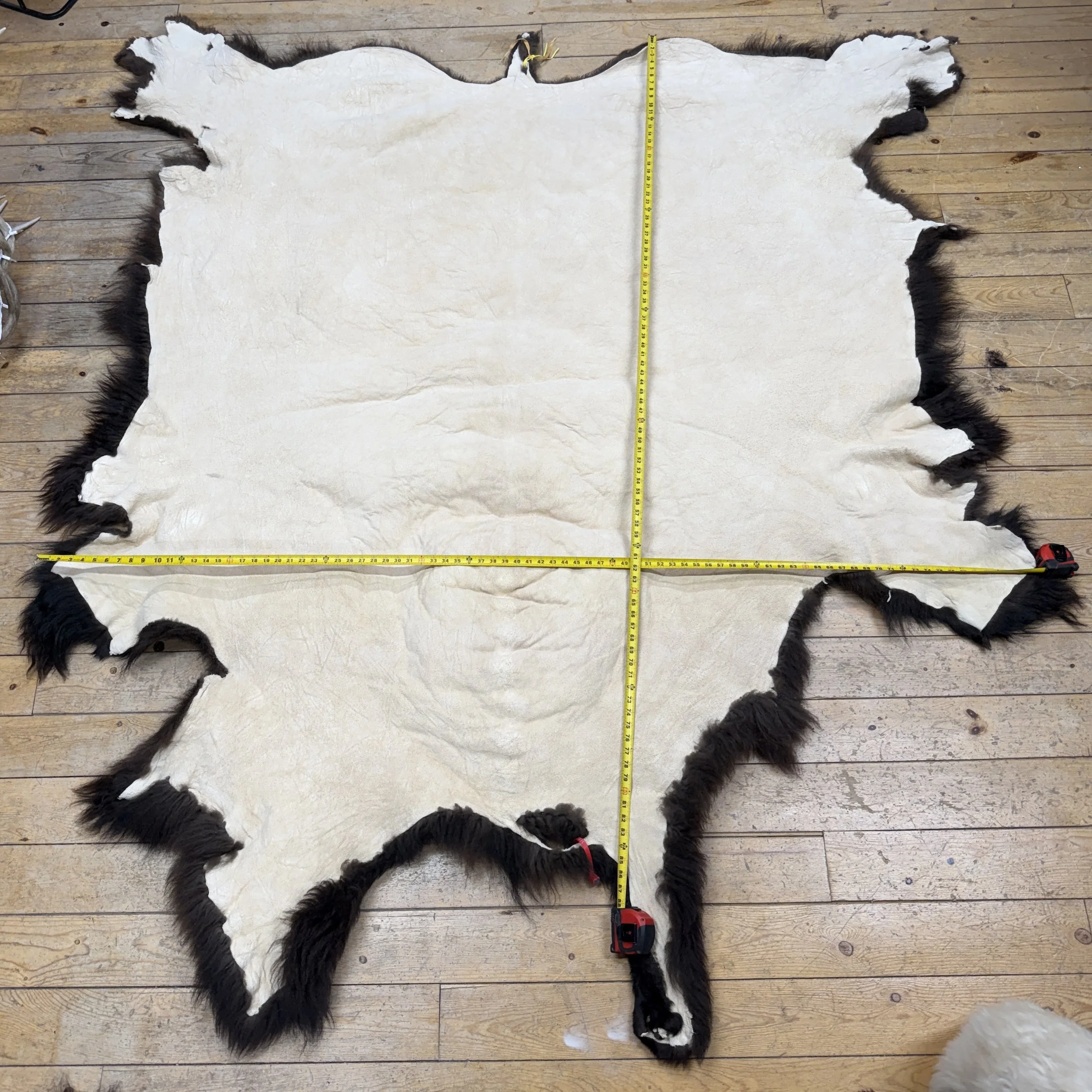 bison hide