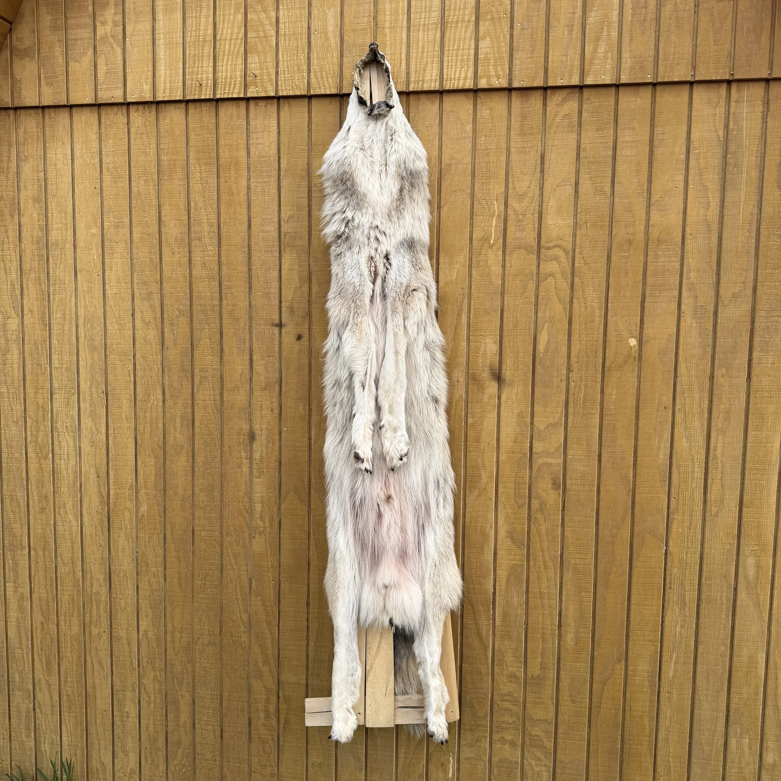 IMG_0568.jpeg