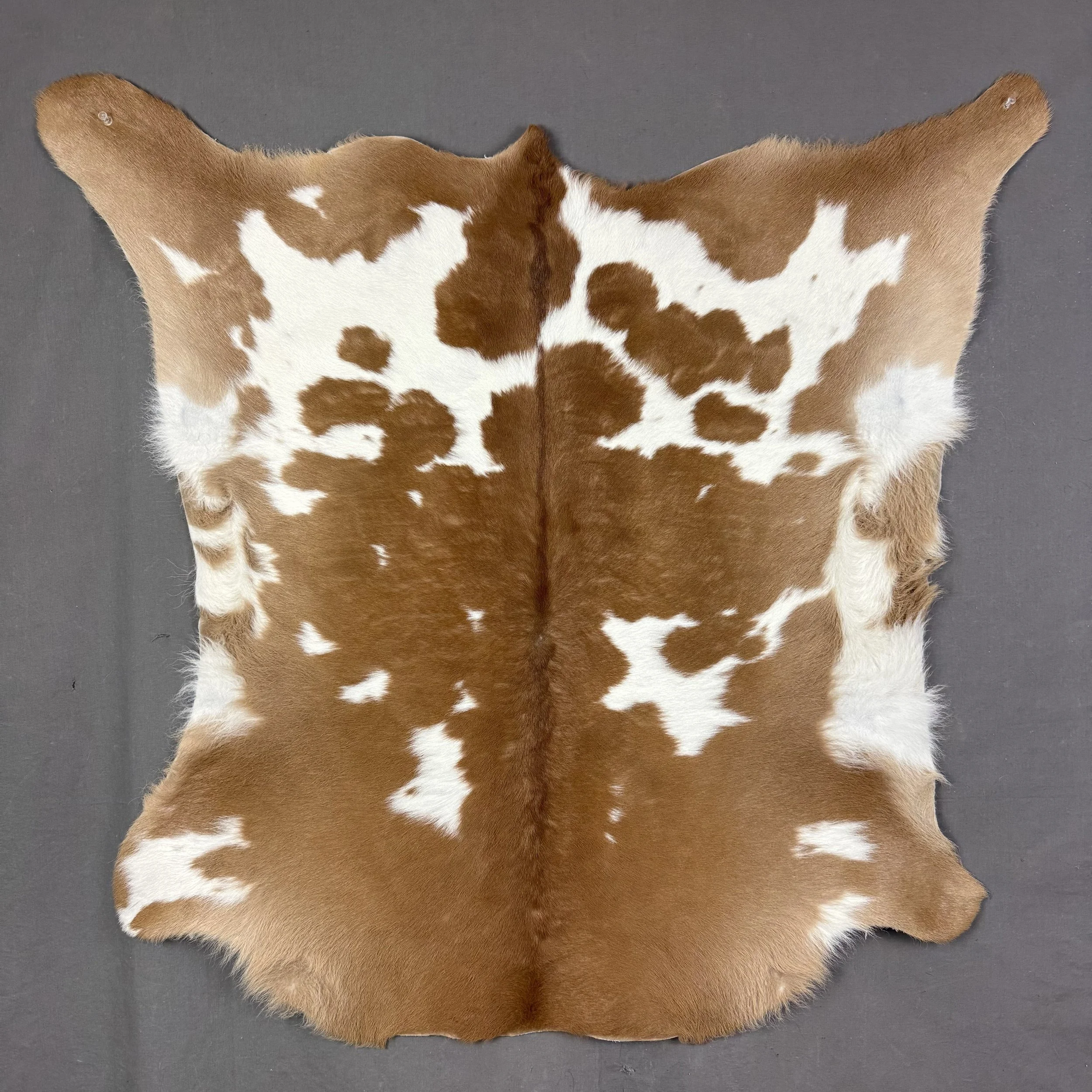 Calf Hide SQ4588
