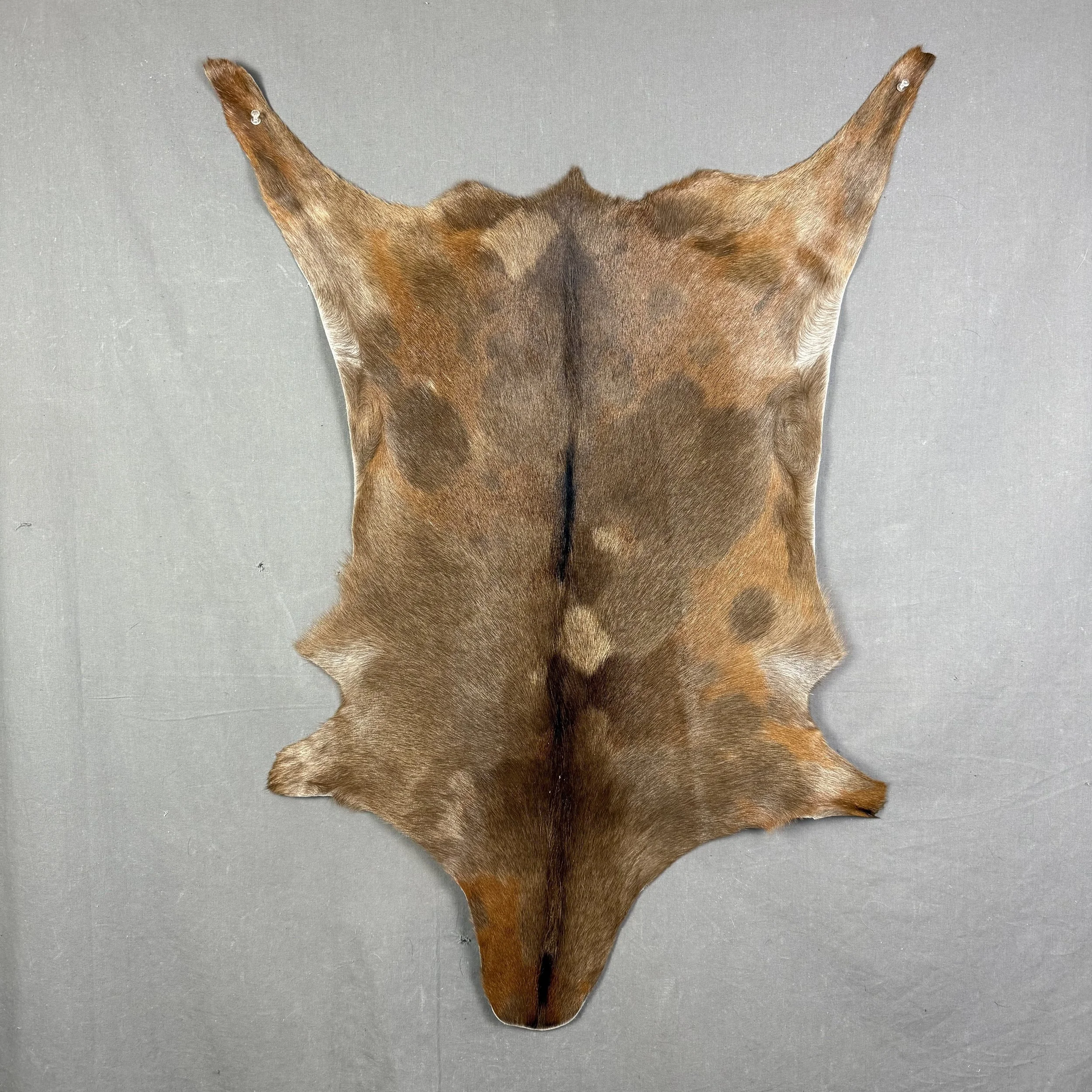 Goat Hide SQ5226