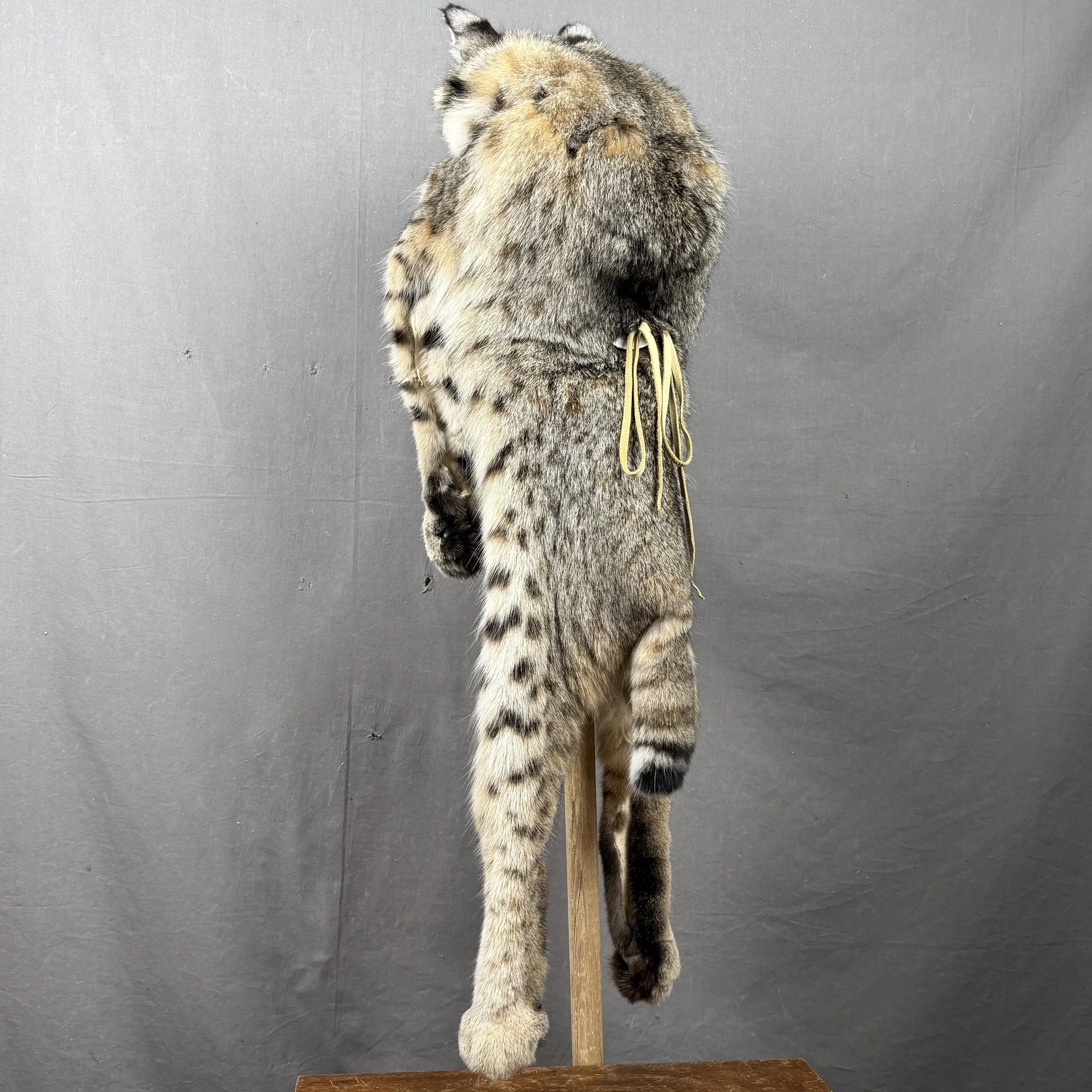 Bobcat Mountain Man Fur Hat with Face and Feet