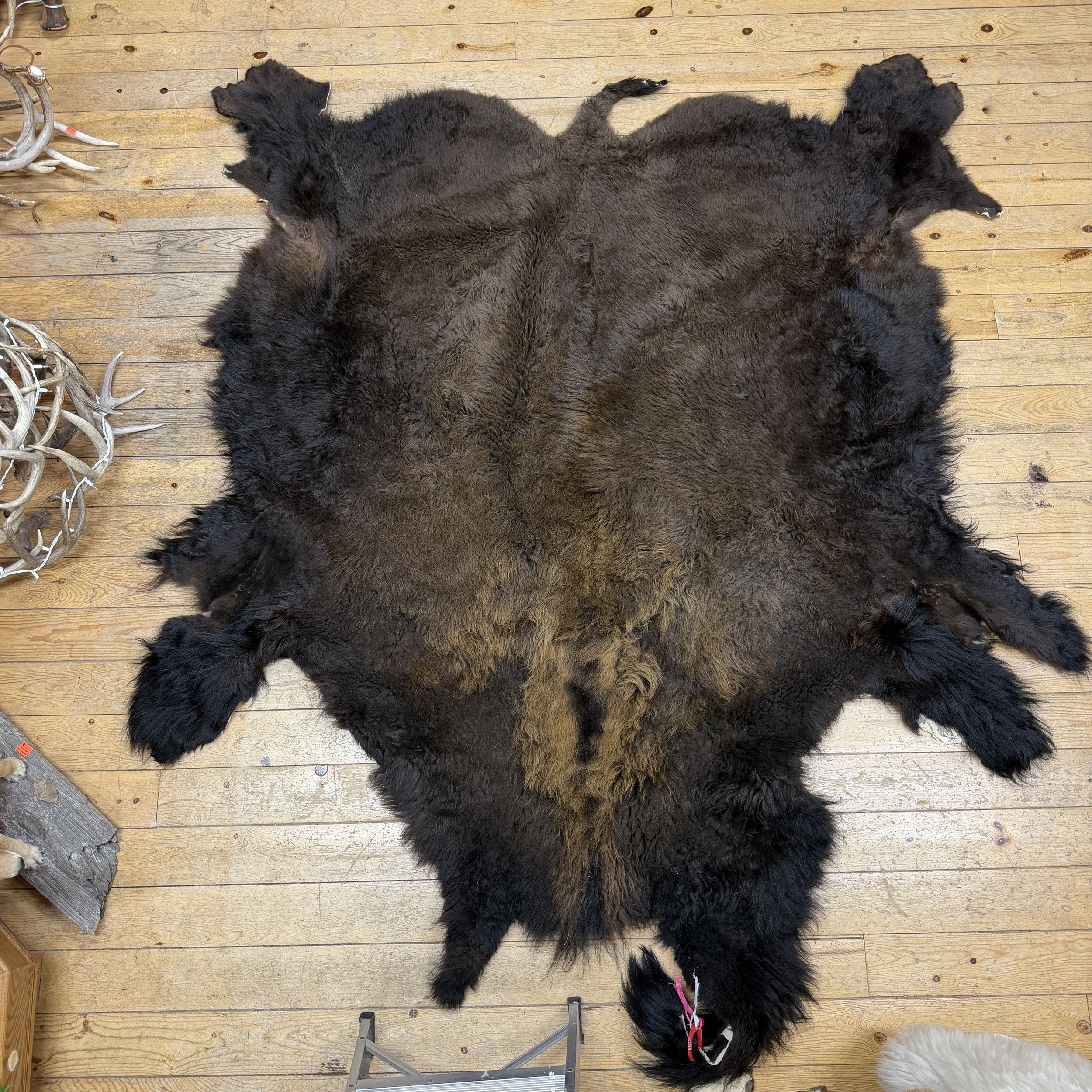 Buffalo Hide #26