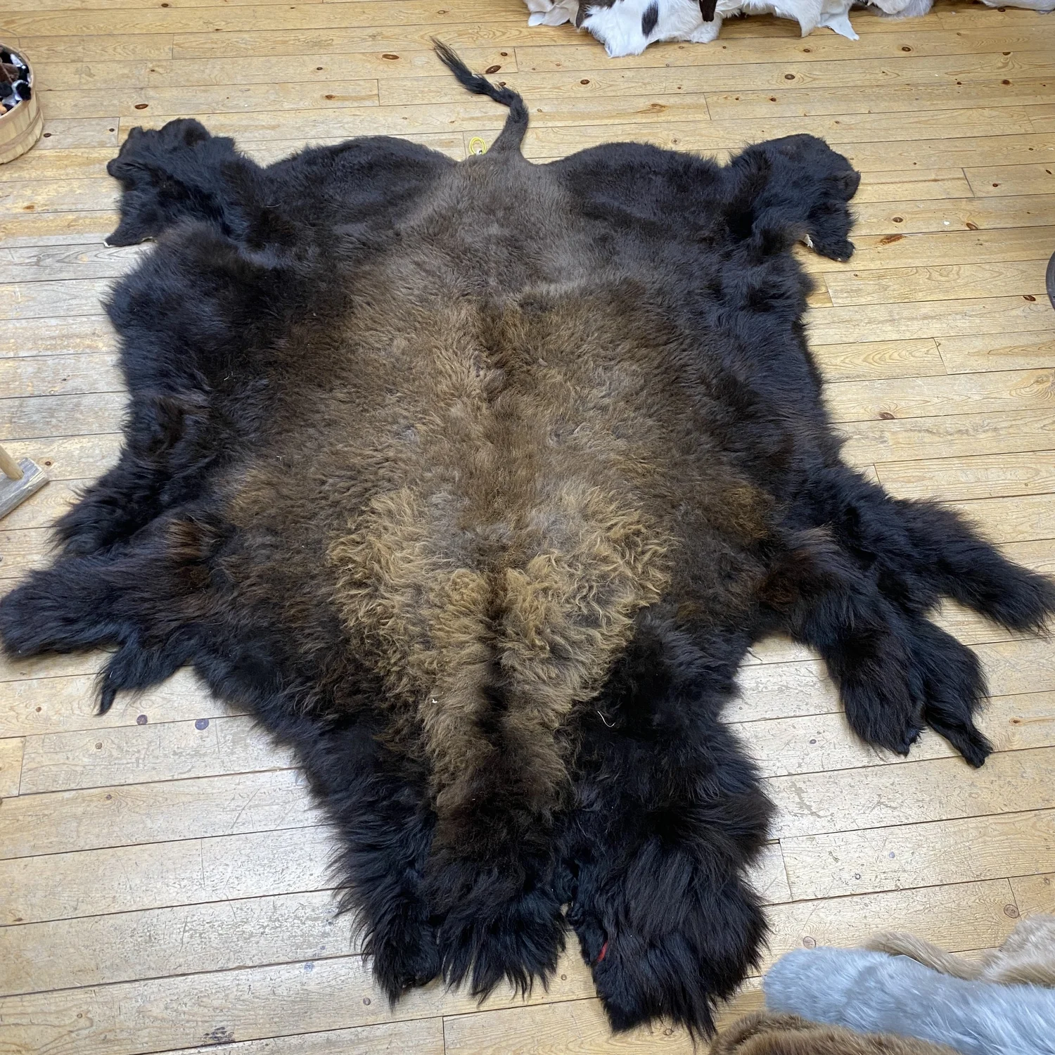 Decorating with Buffalo Hides — Claw, Antler & Hide Co.