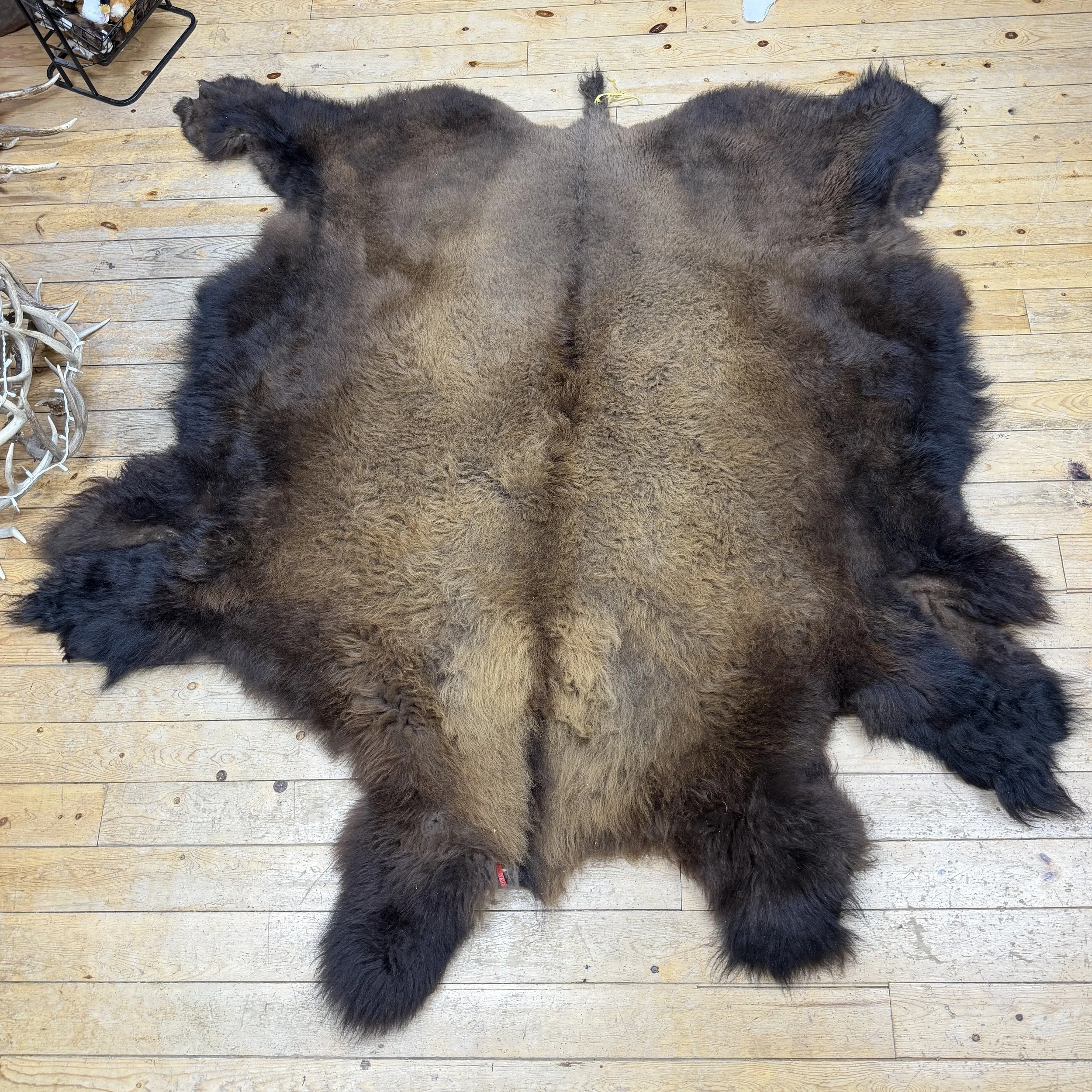 bison hide