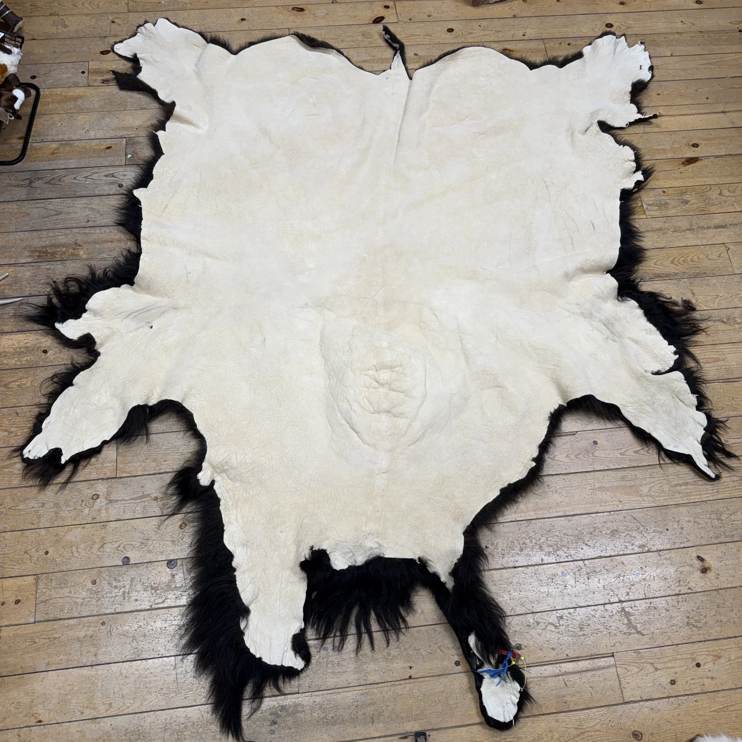 Buffalo Hide