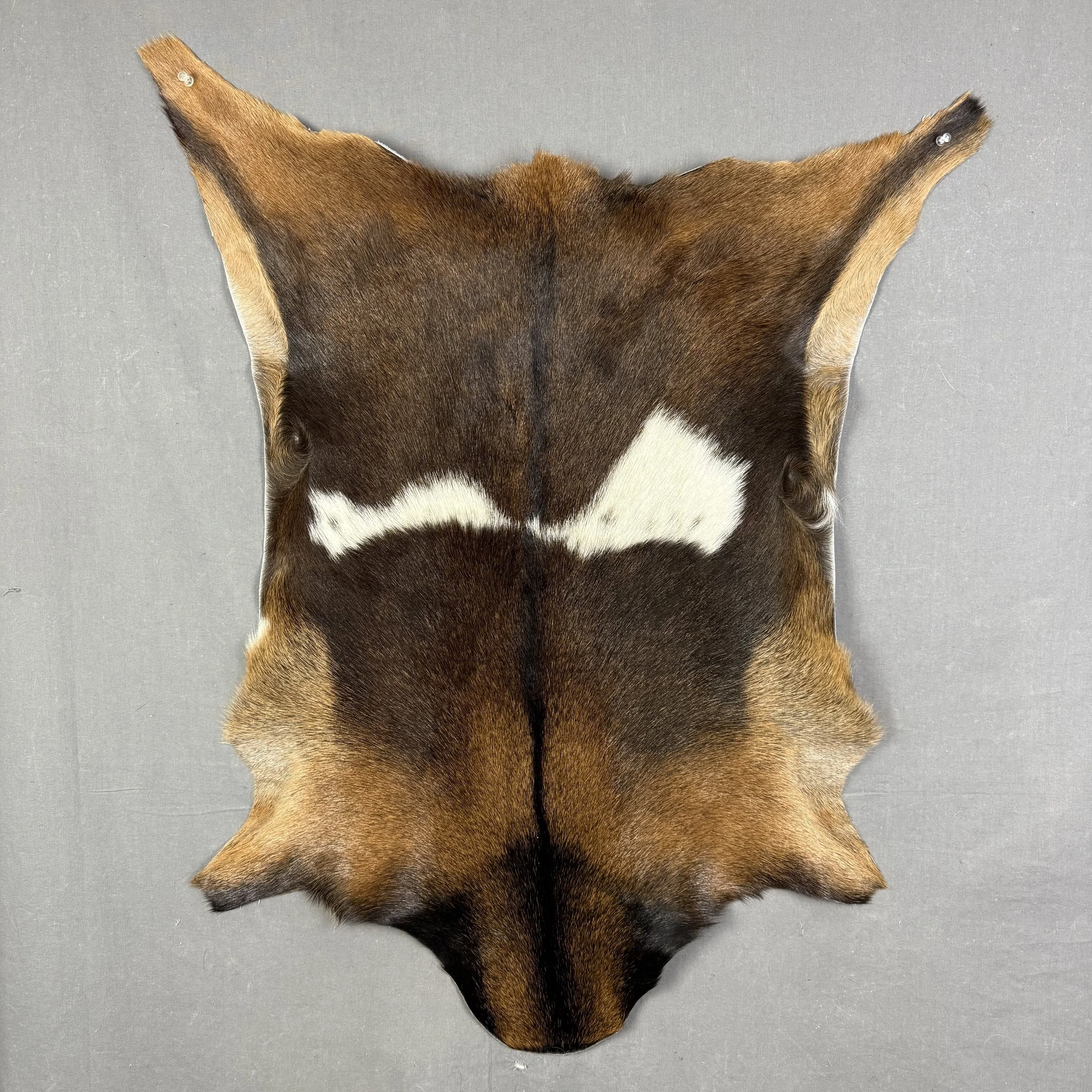 Goat Hide SQ5713