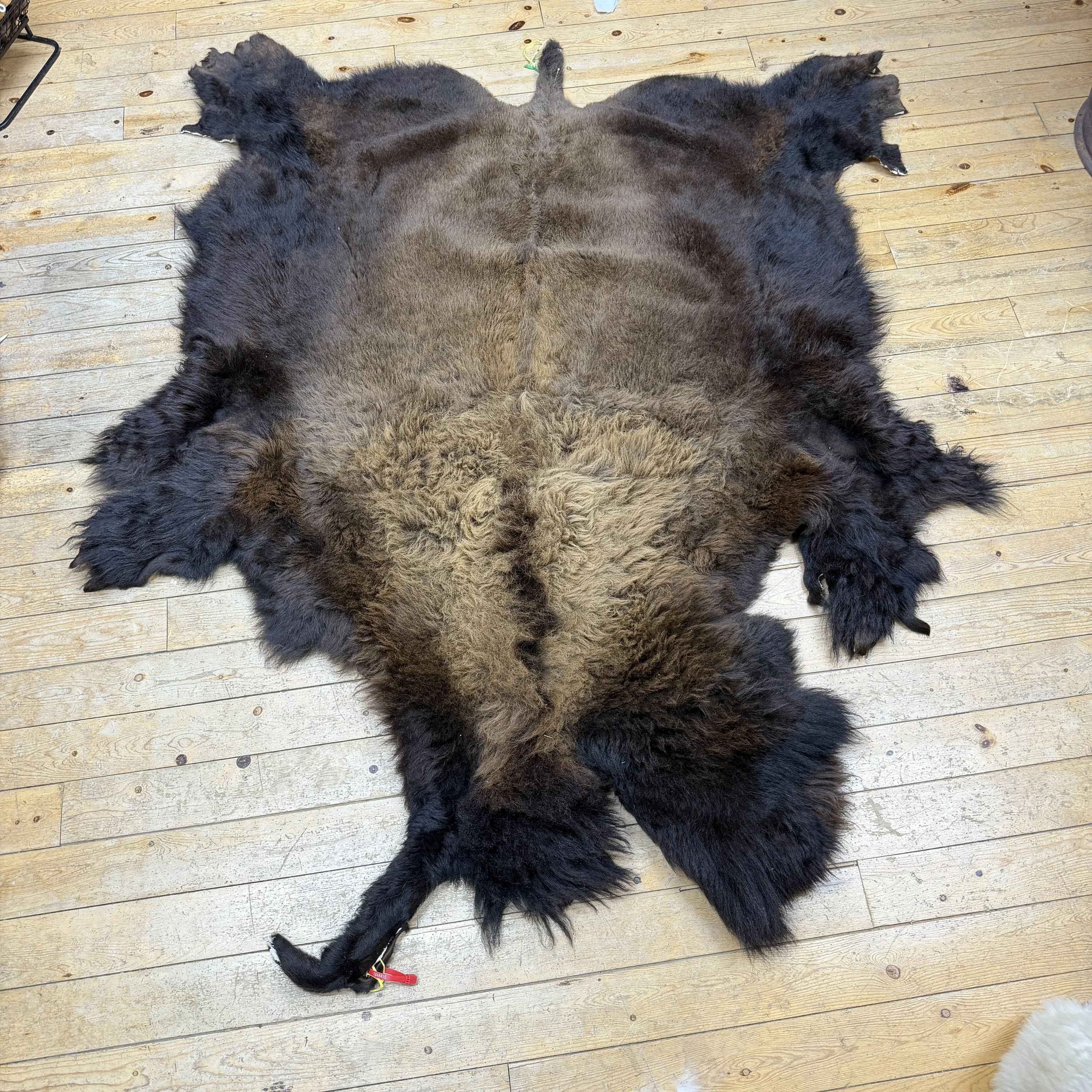bison hide