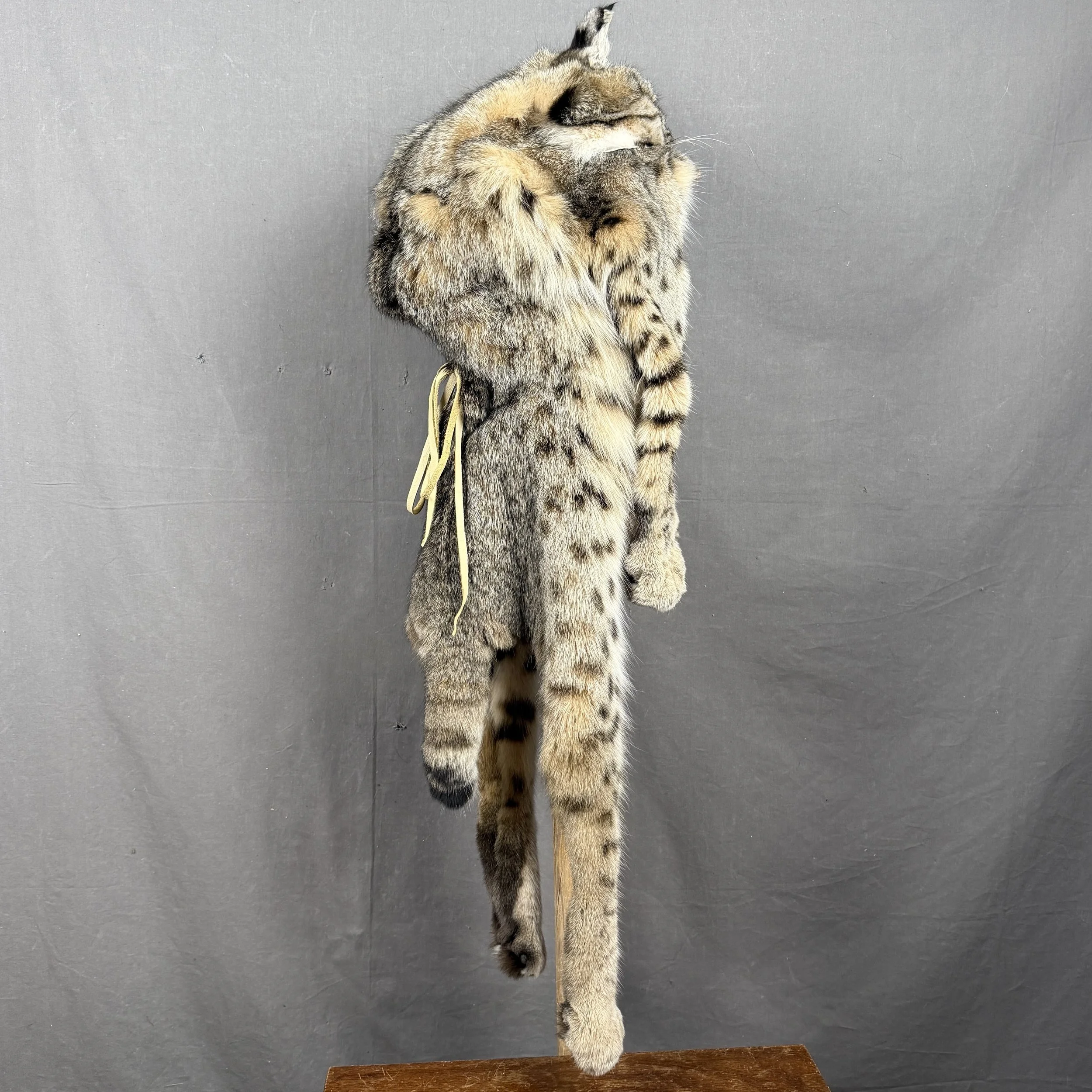 Bobcat Mountain Man Fur Hat with Face and Feet