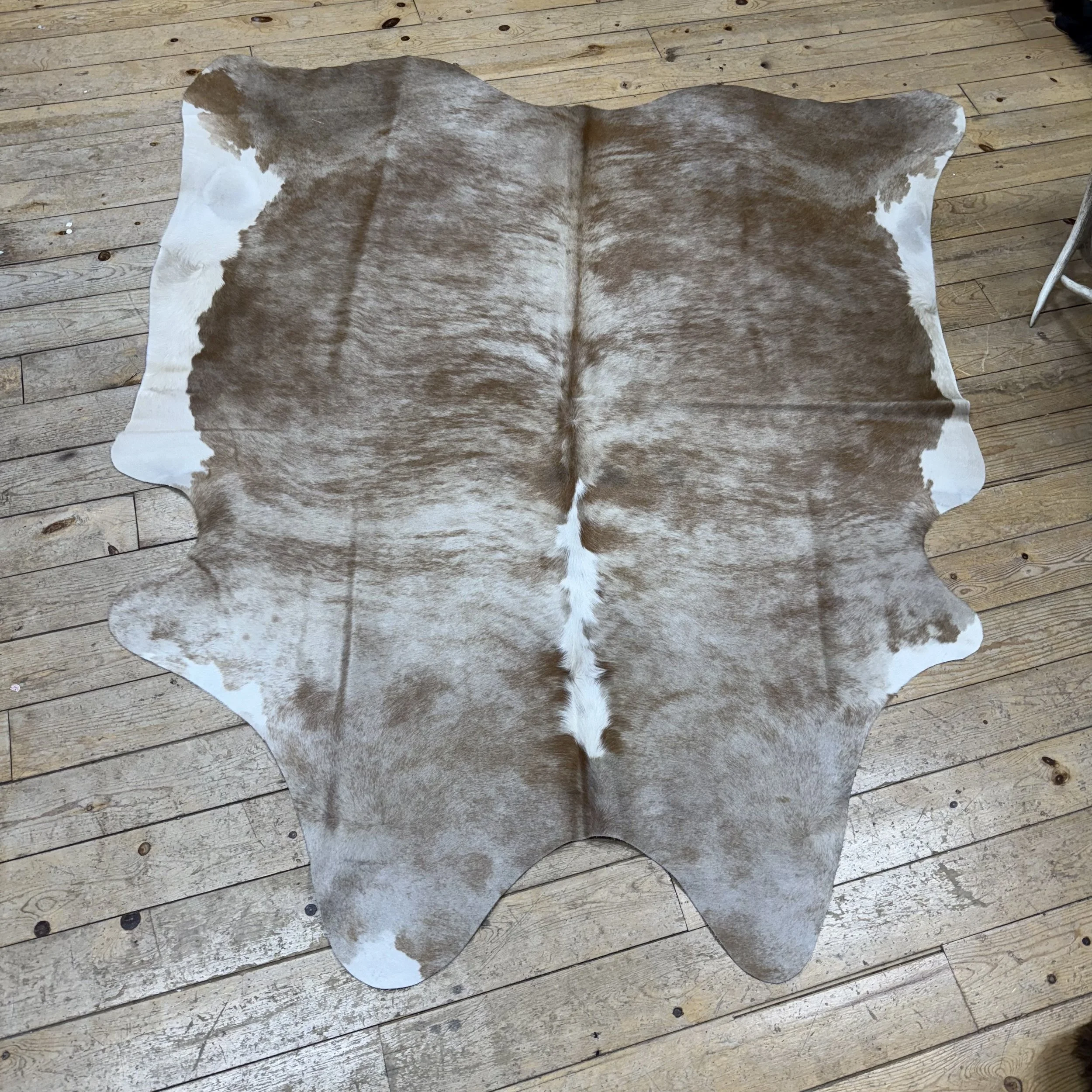 Cow hide #24
