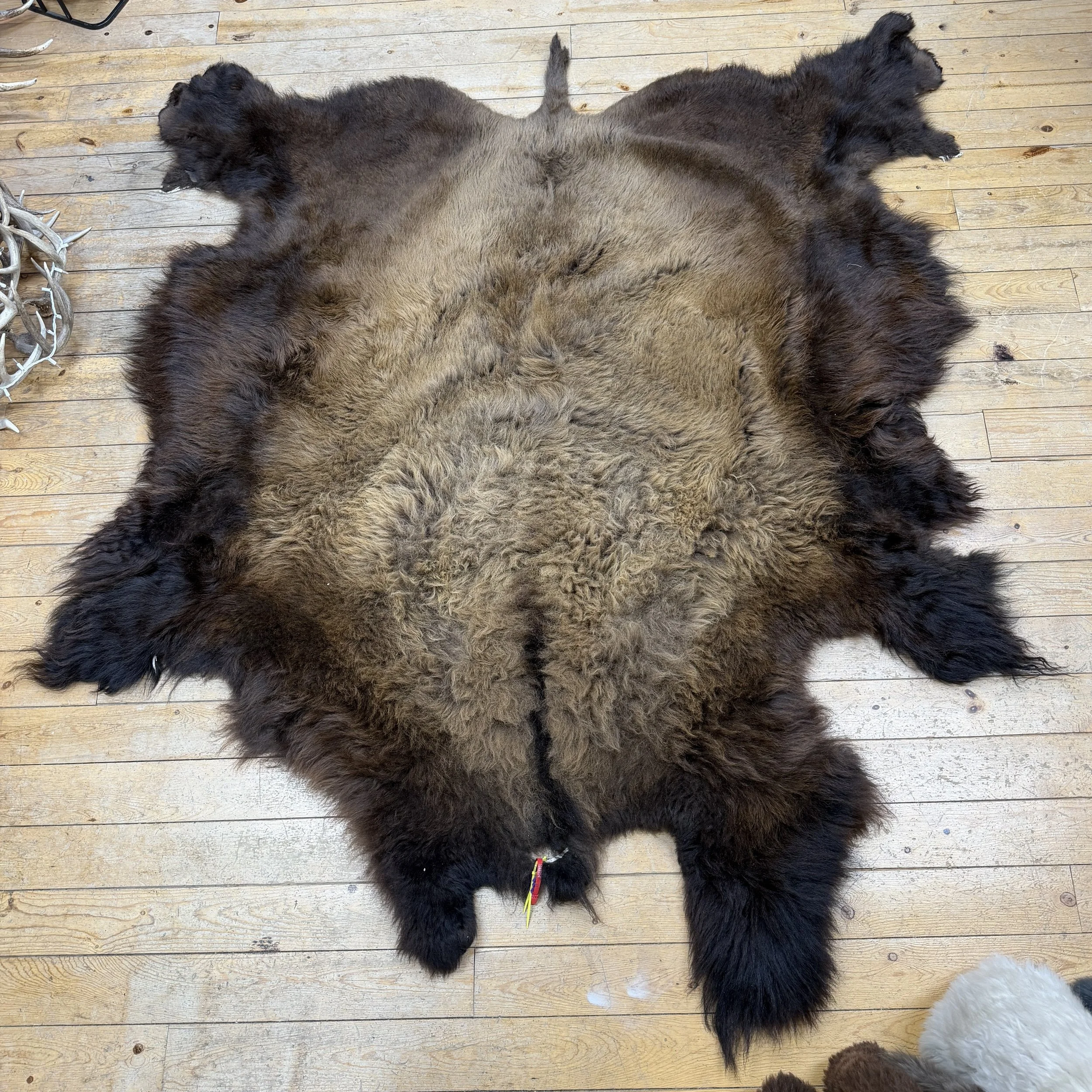 Buffalo Hide #3