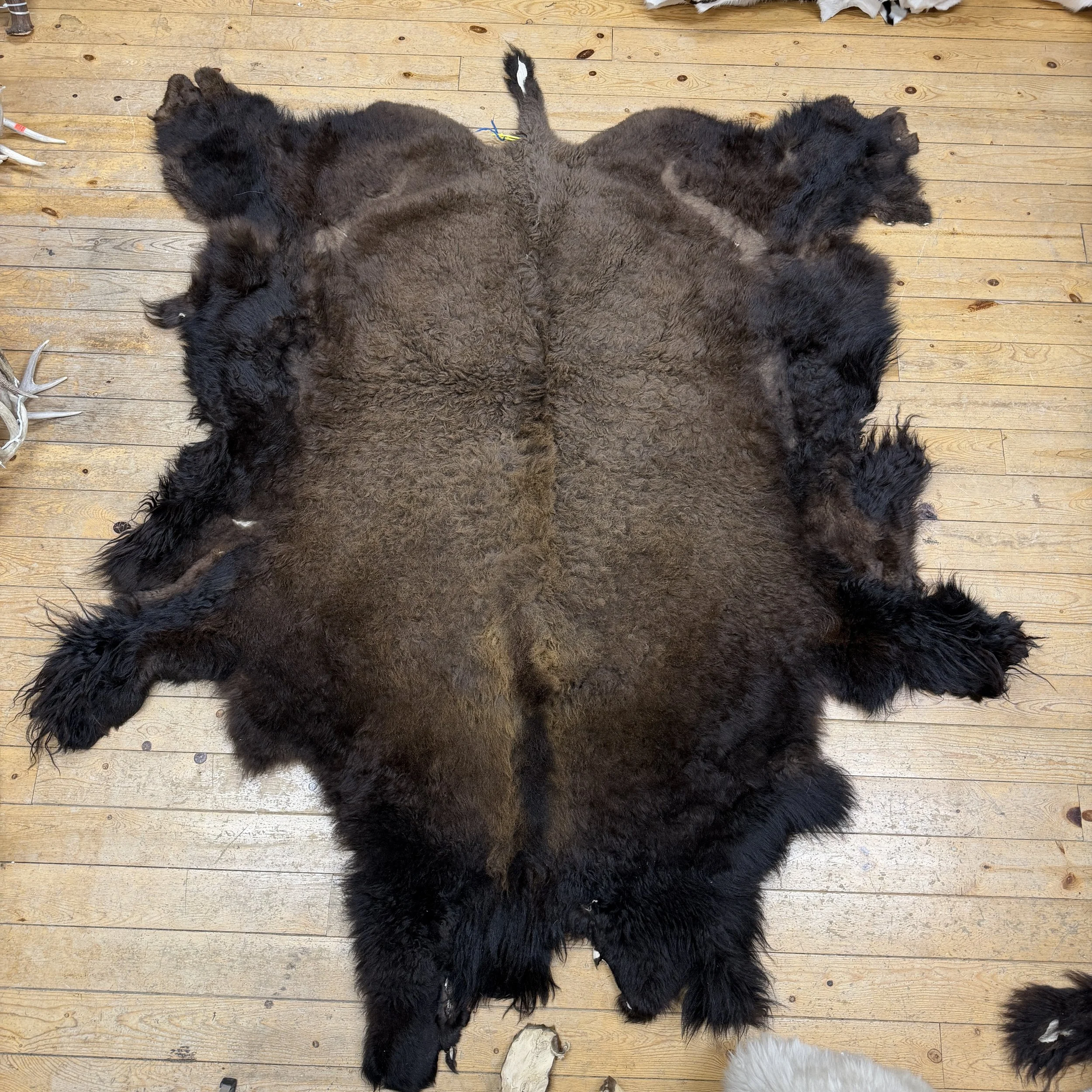 Buffalo hide  #102