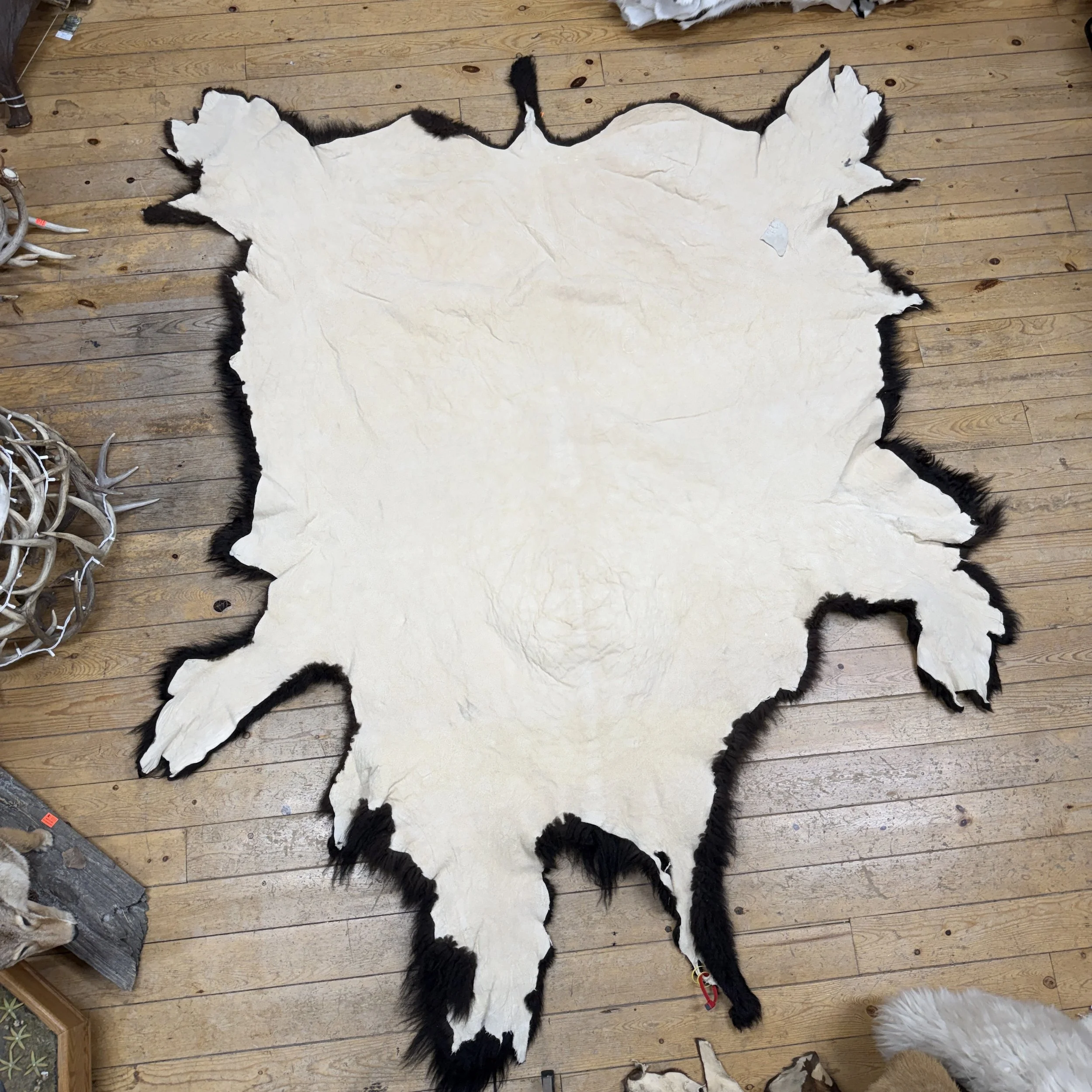Buffalo Hide