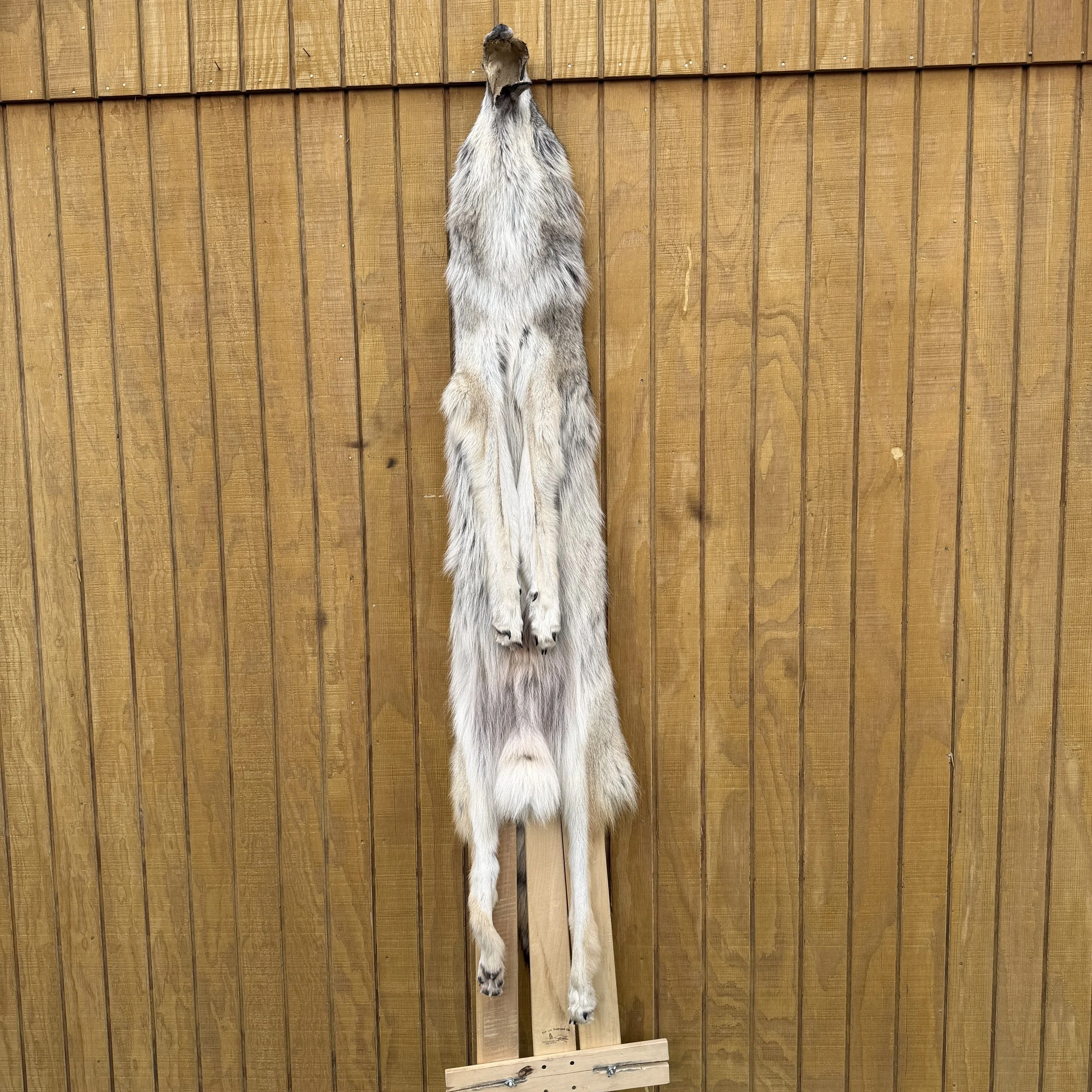 wolf hide