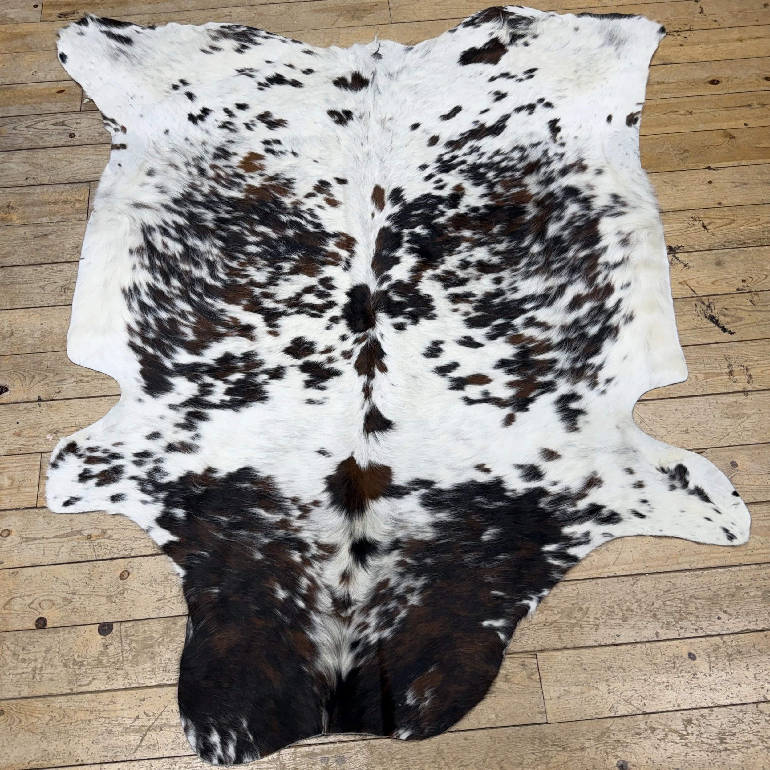 Cow Hide #6