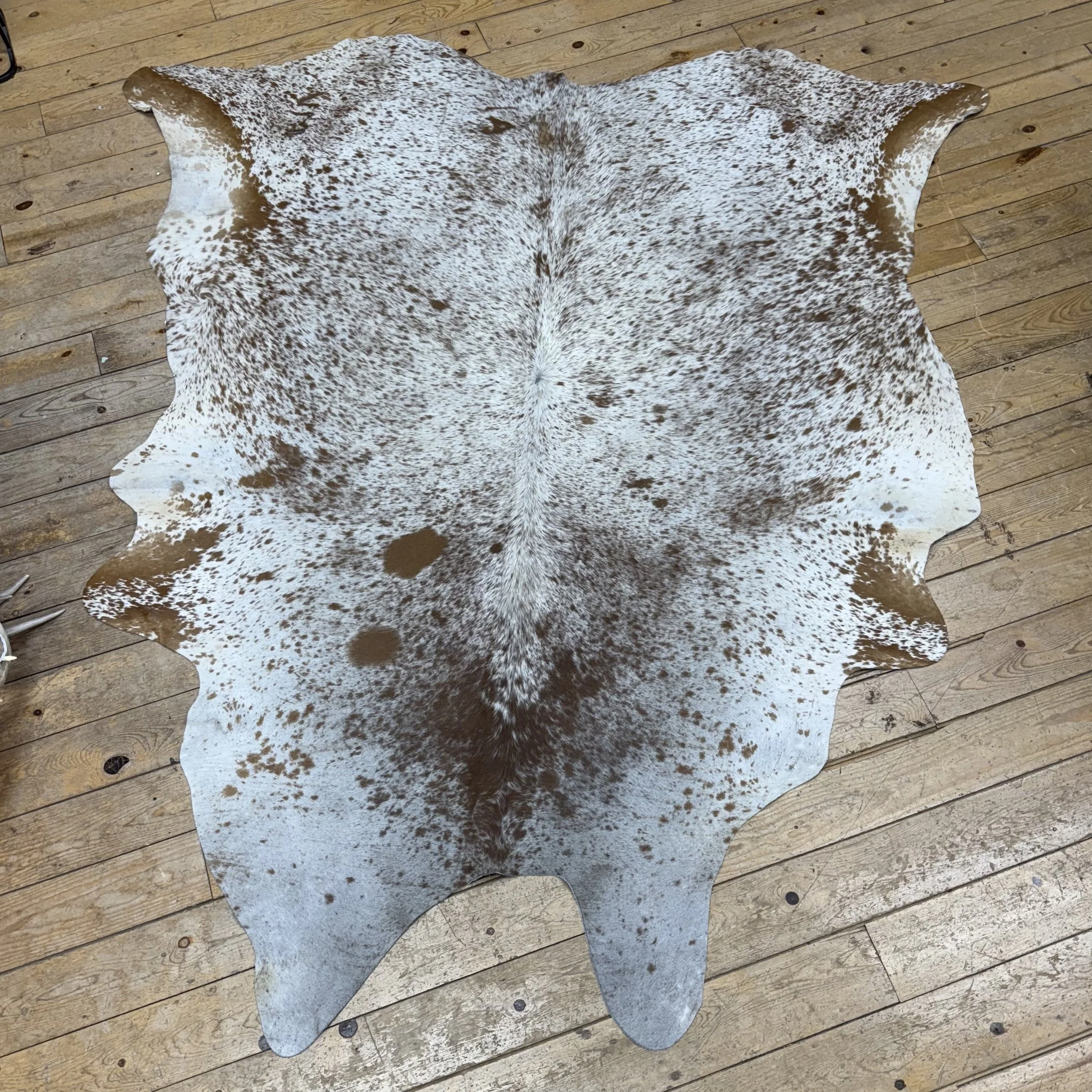 Cow Hide #2