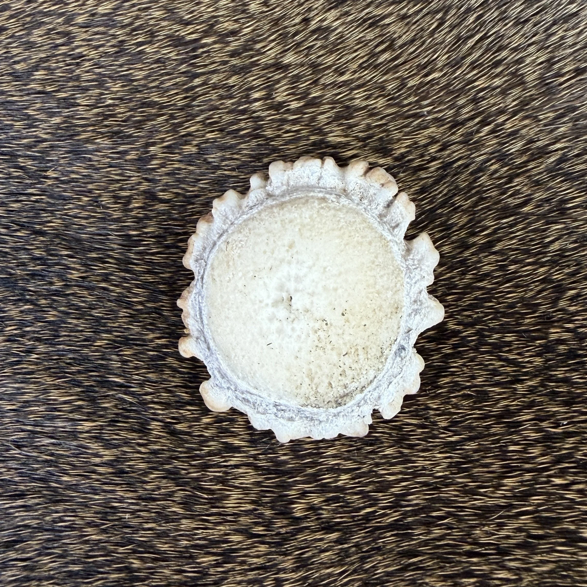 Deer Antler Rosette