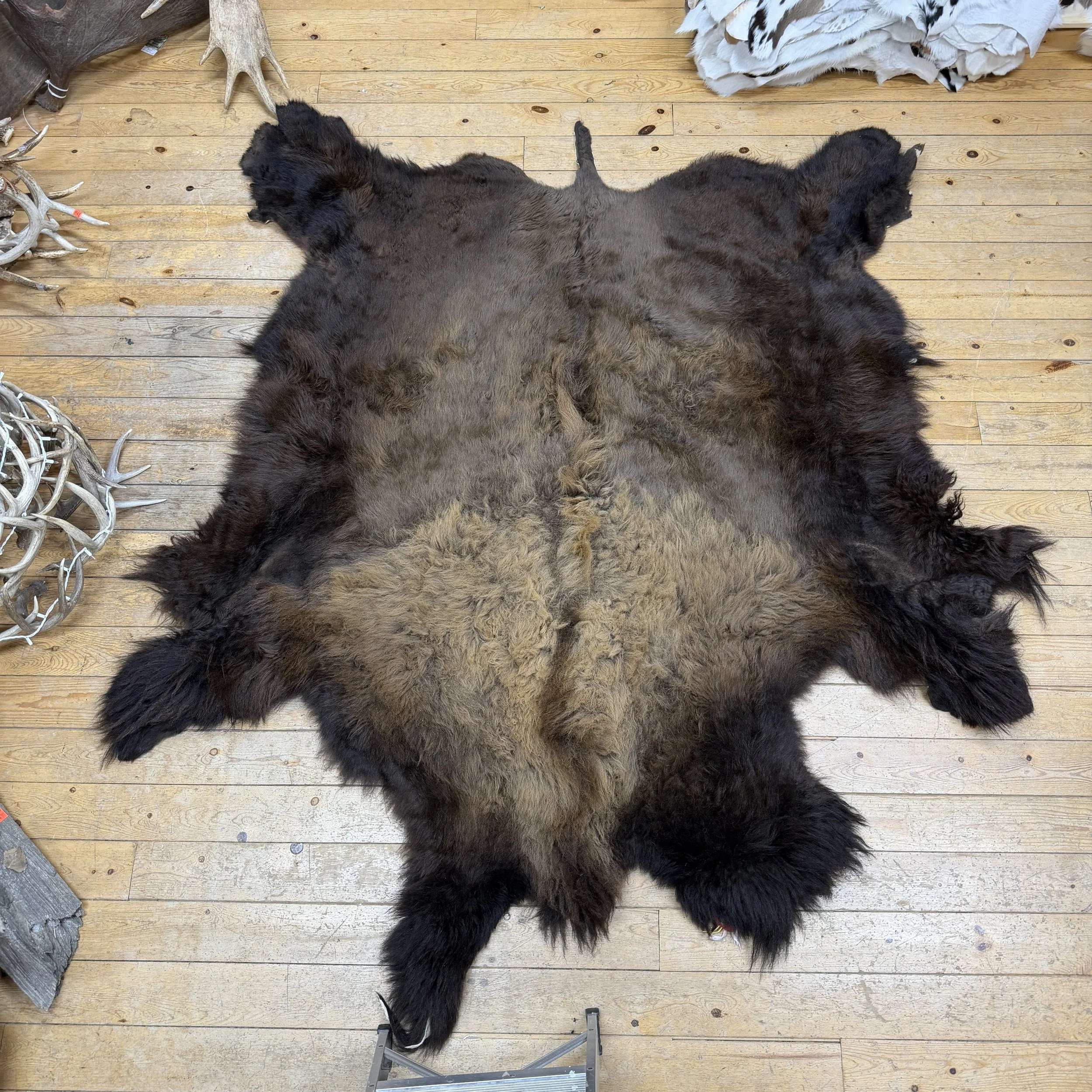 Buffalo Hide #5