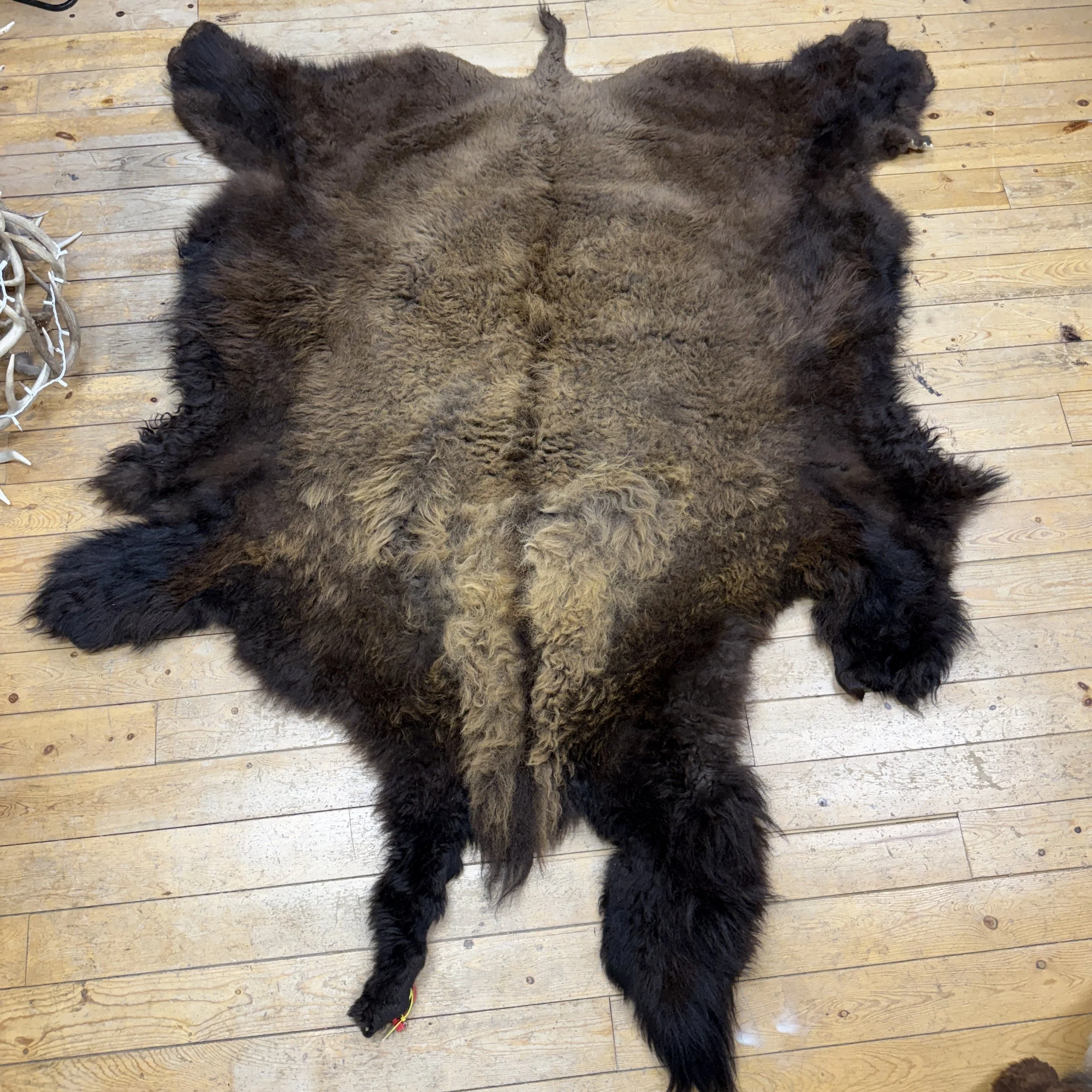 Buffalo Hide #24