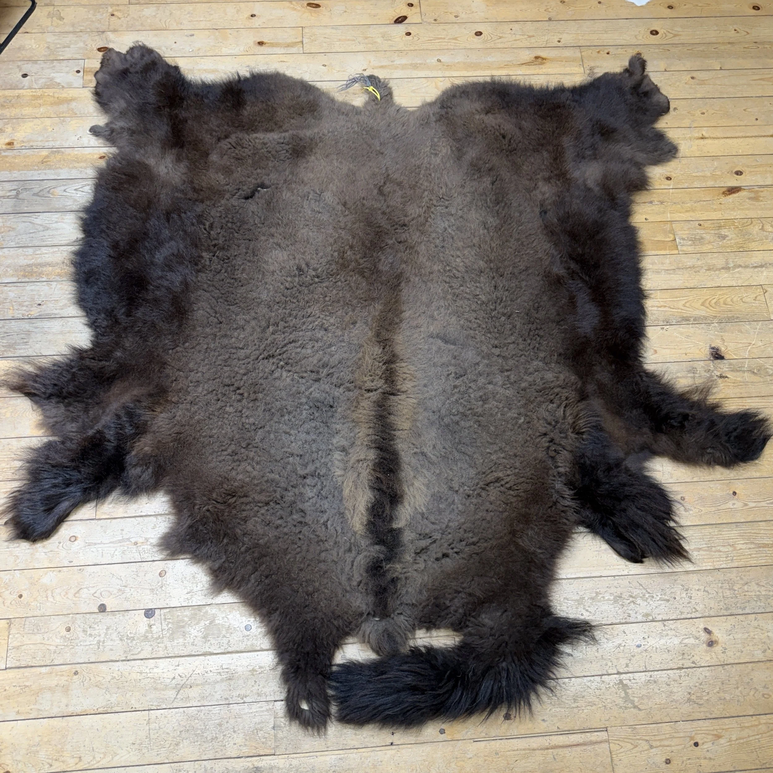 Buffalo hide #105