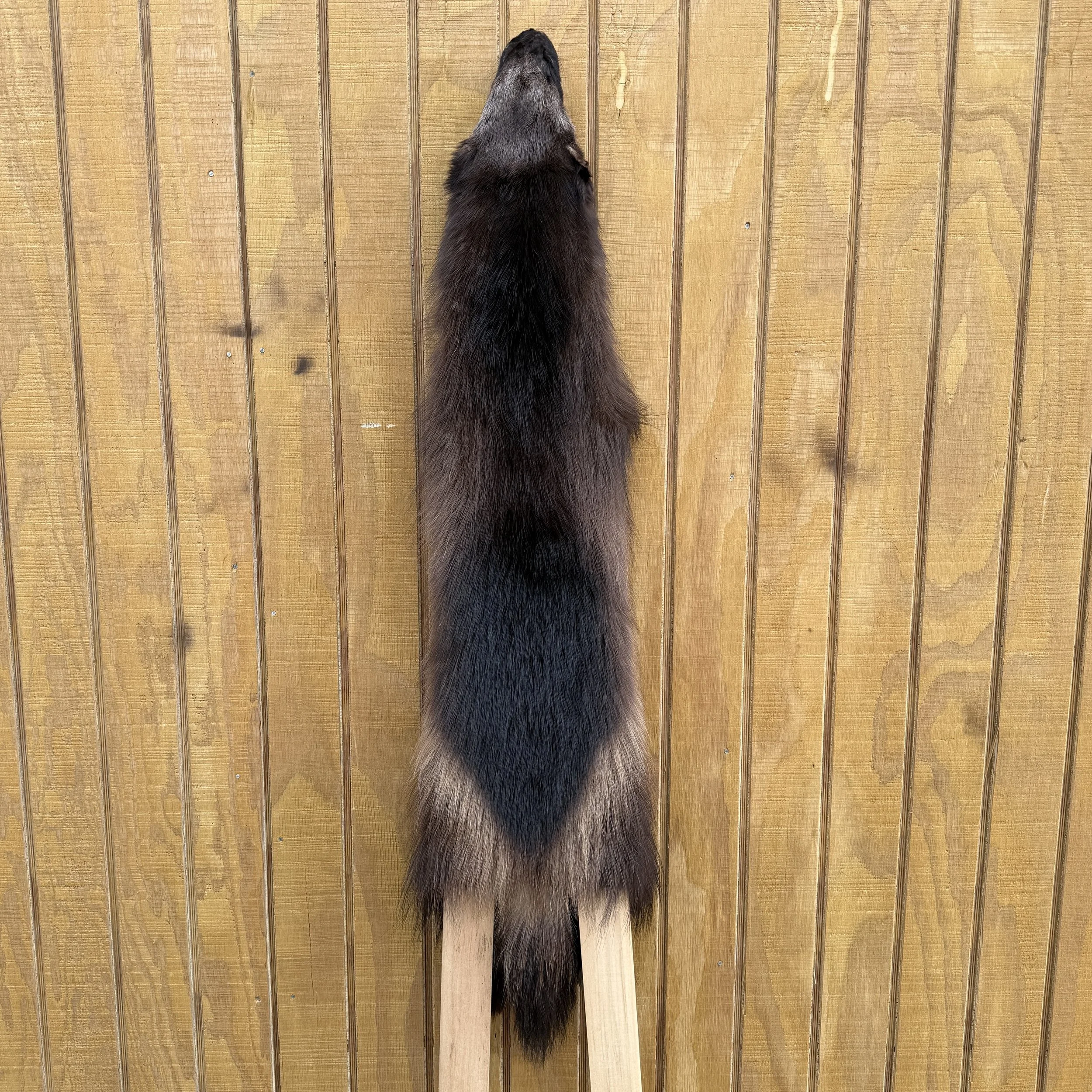 Wolverine hide
