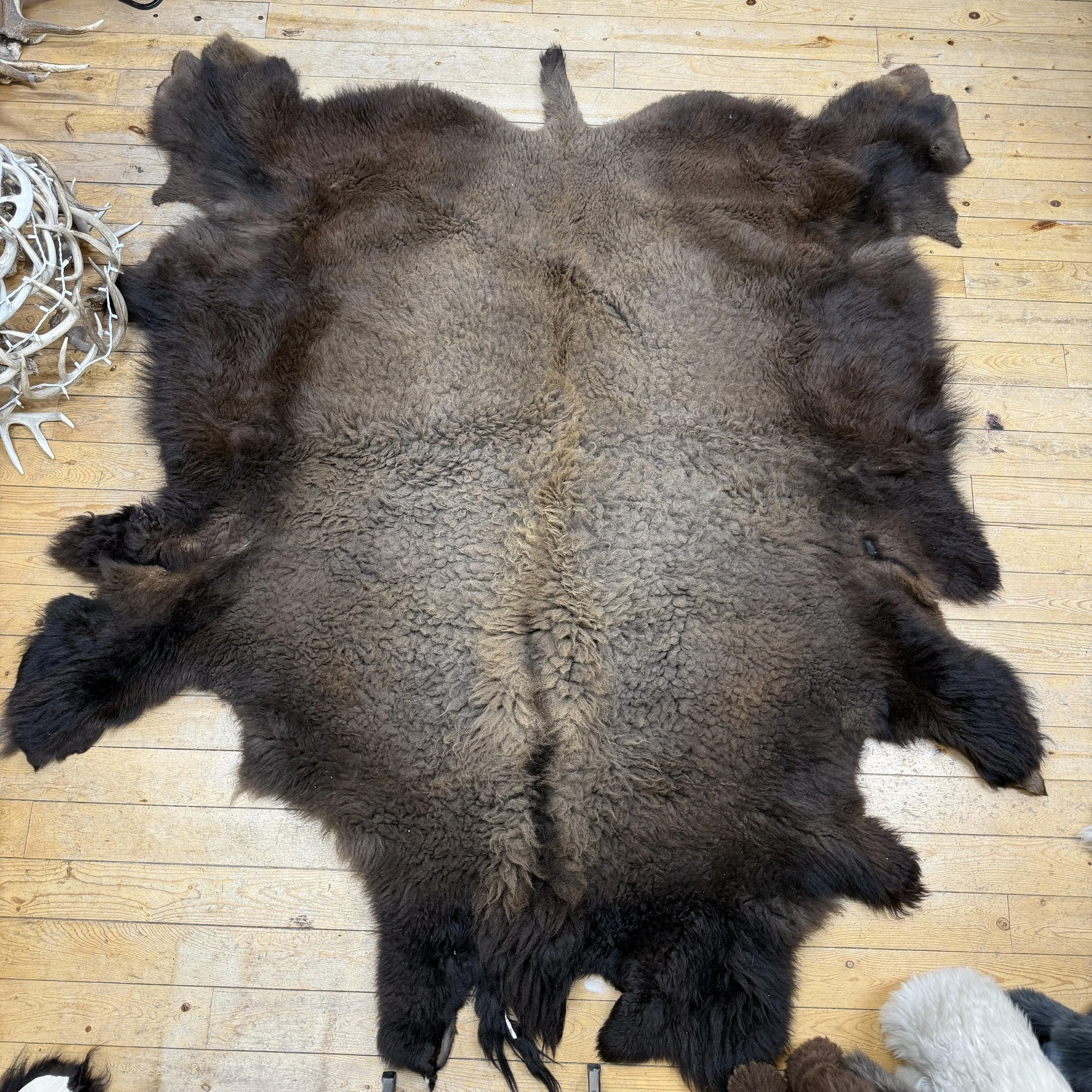 Buffalo hide  #102