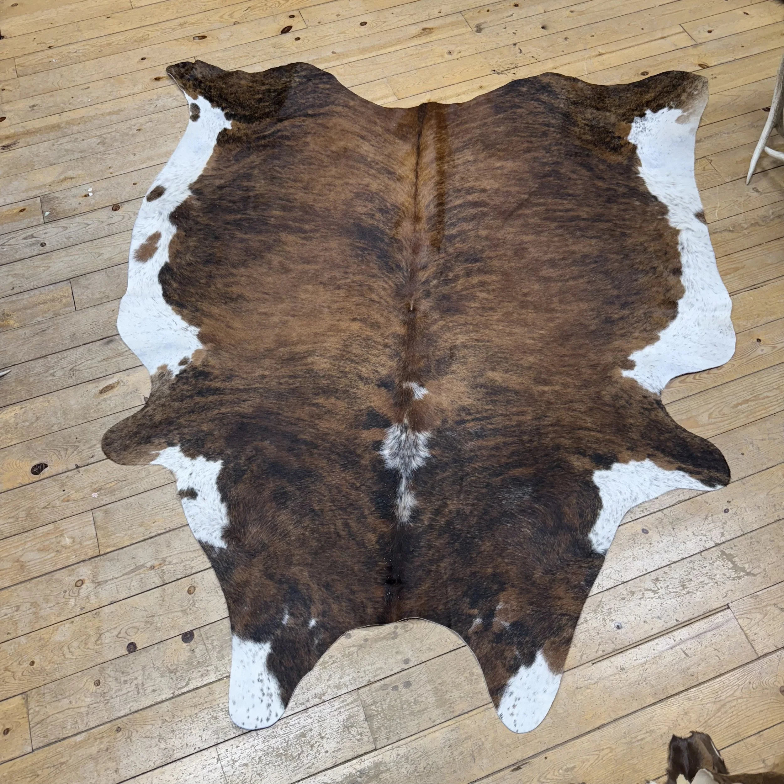 Cow hide #27