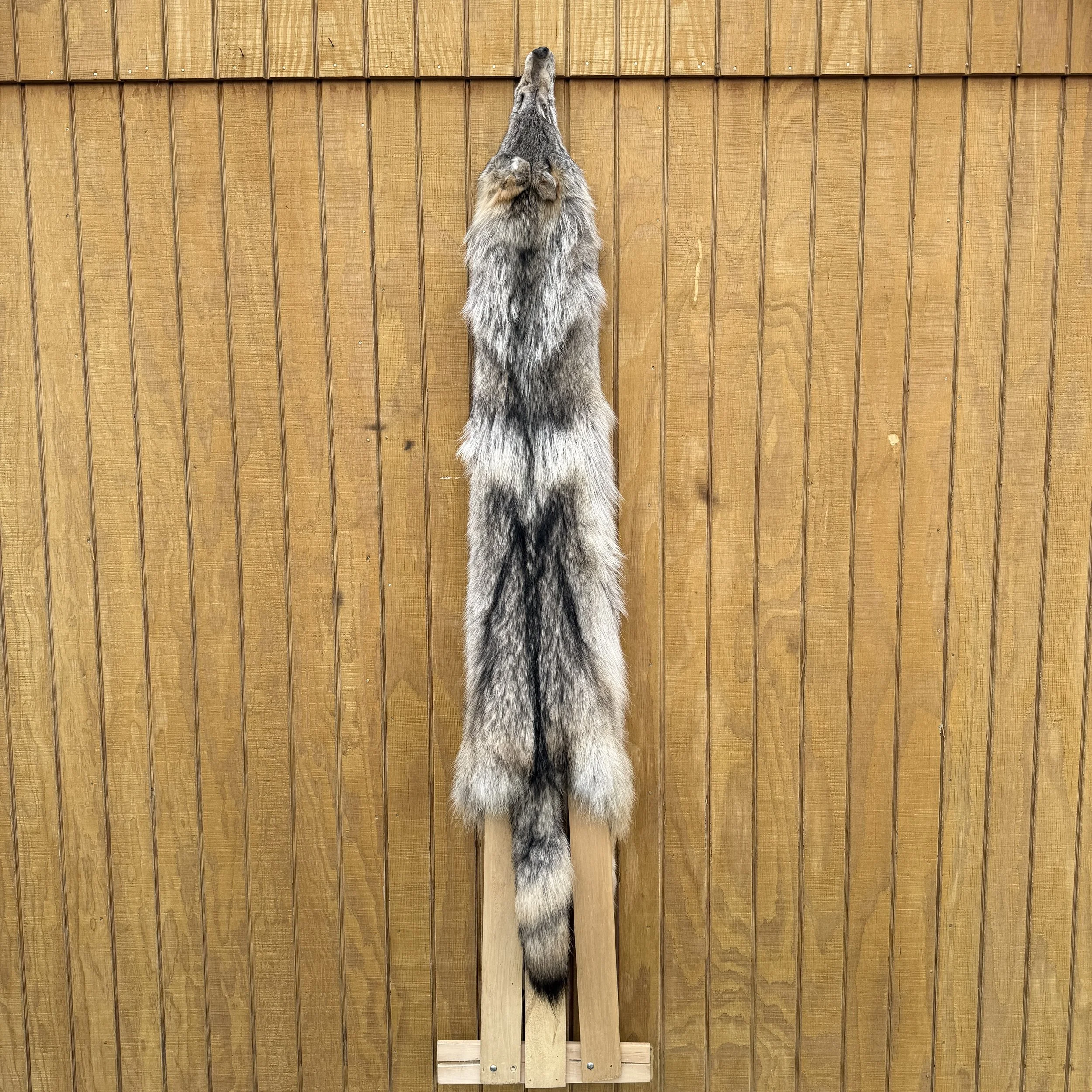 Timber Wolf Hide SQ1050p38