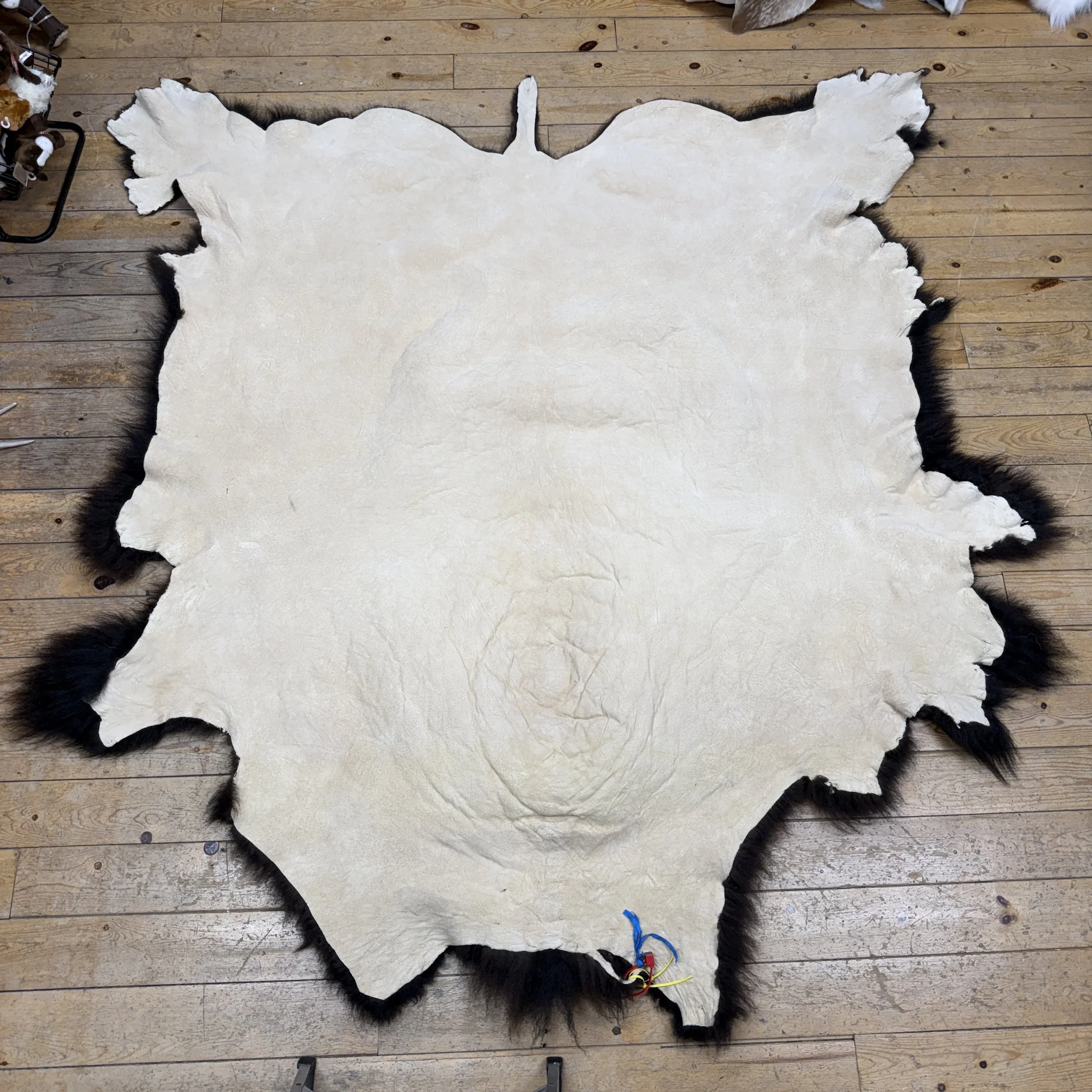 Buffalo Hide