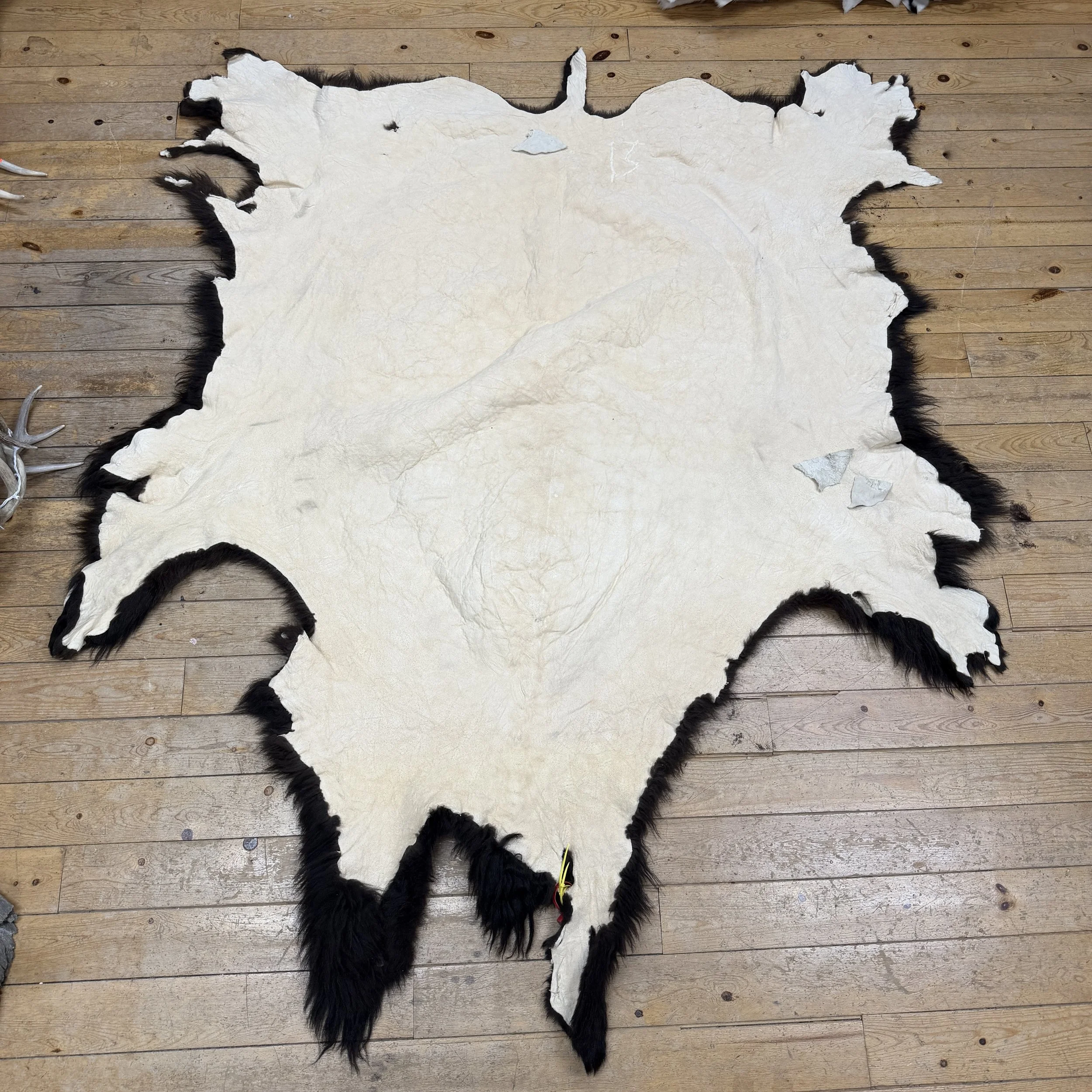 Buffalo Hide