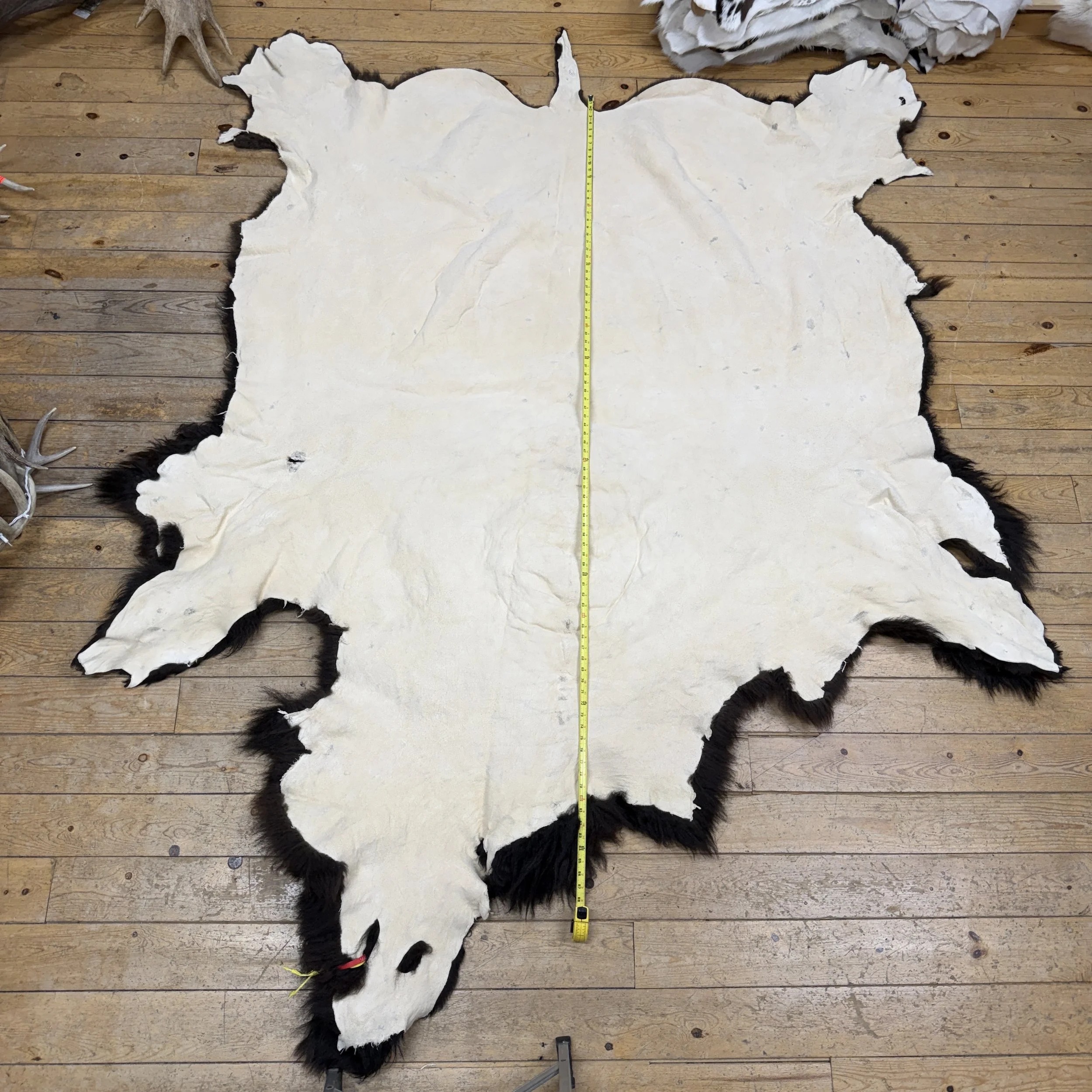 Buffalo Hide