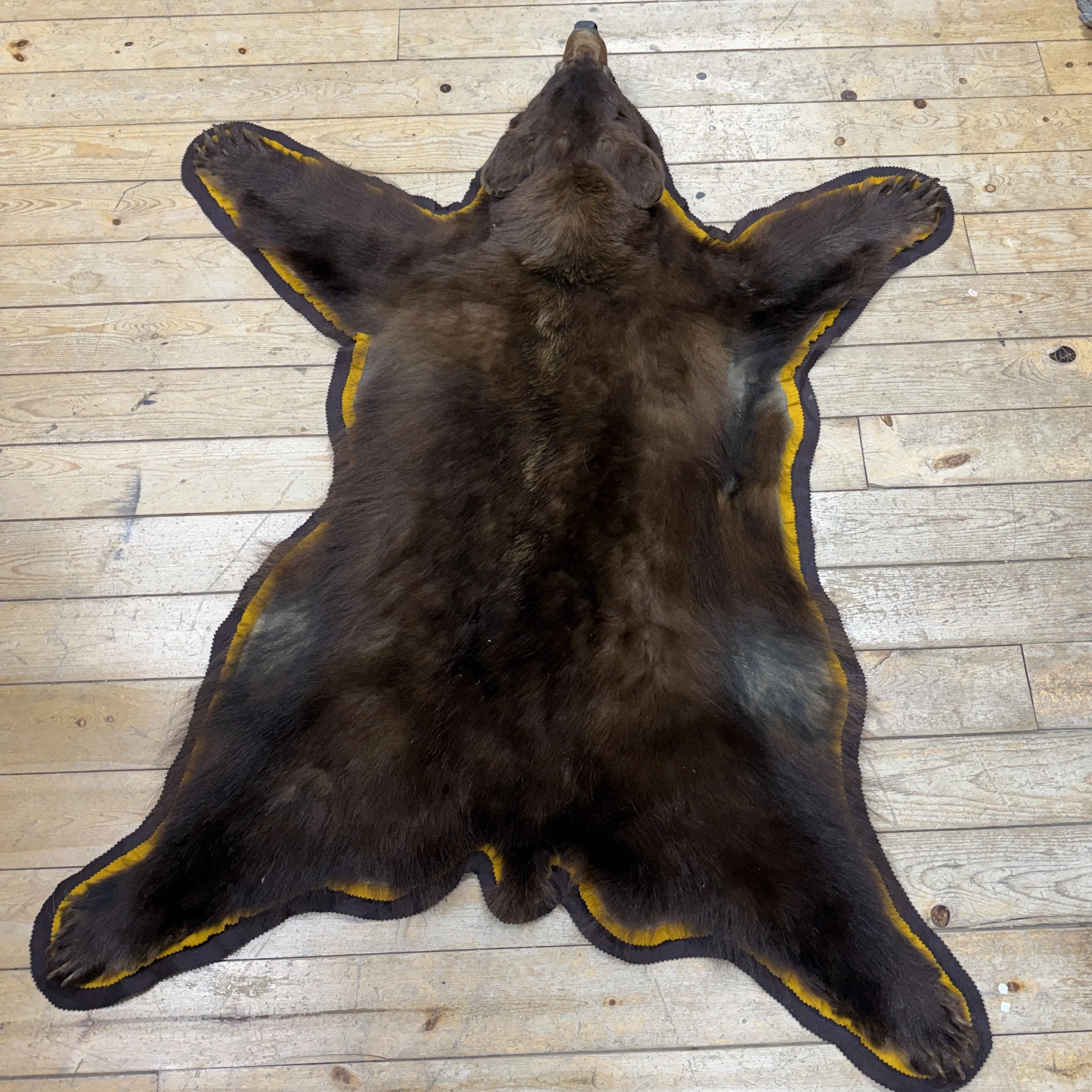 Black Bear Rug