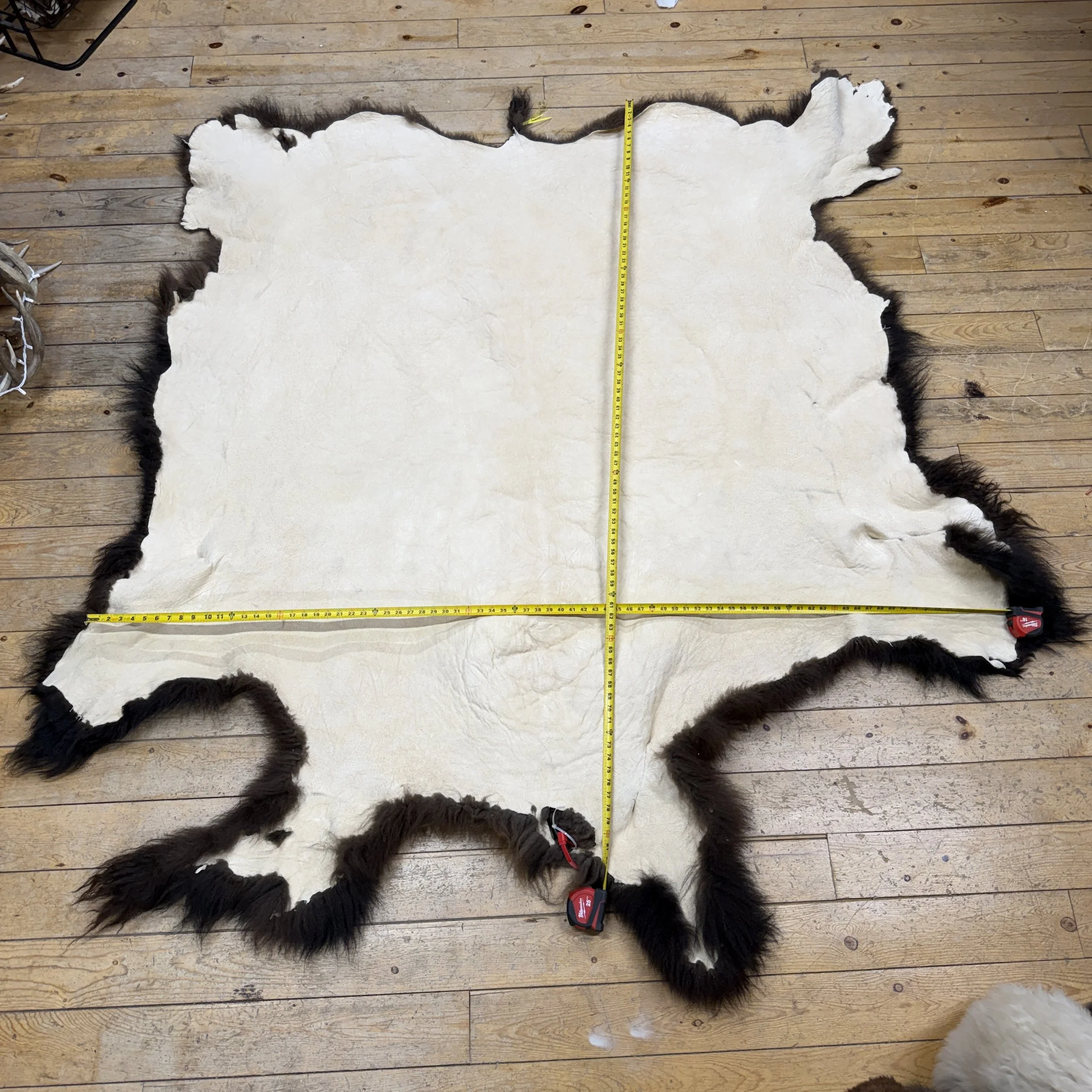 buffalo hide