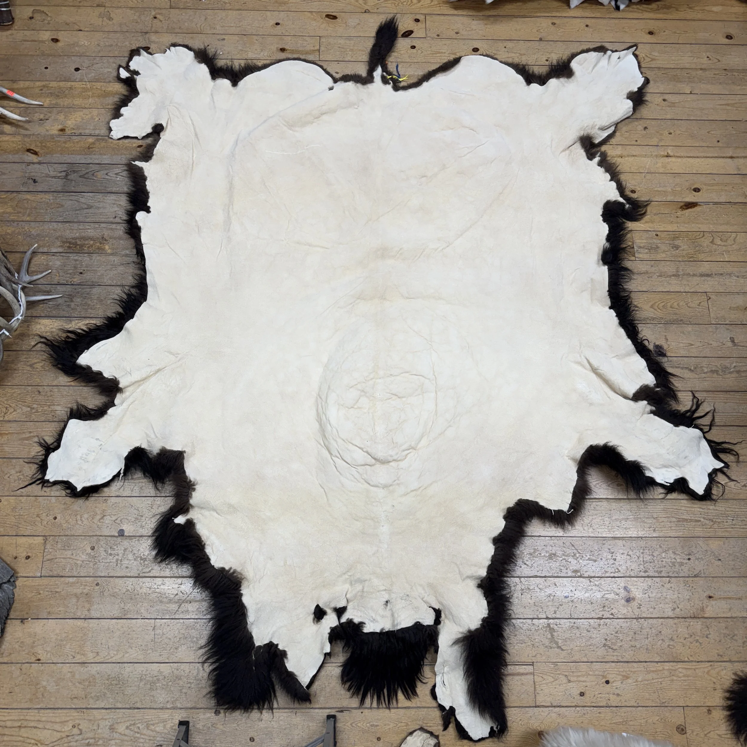 Buffalo Hide