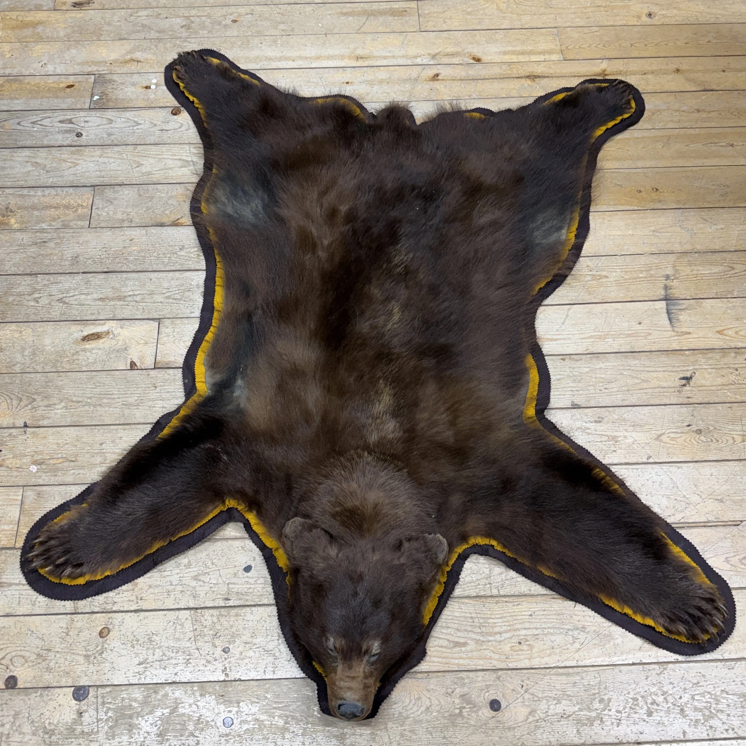 Black Bear Rug