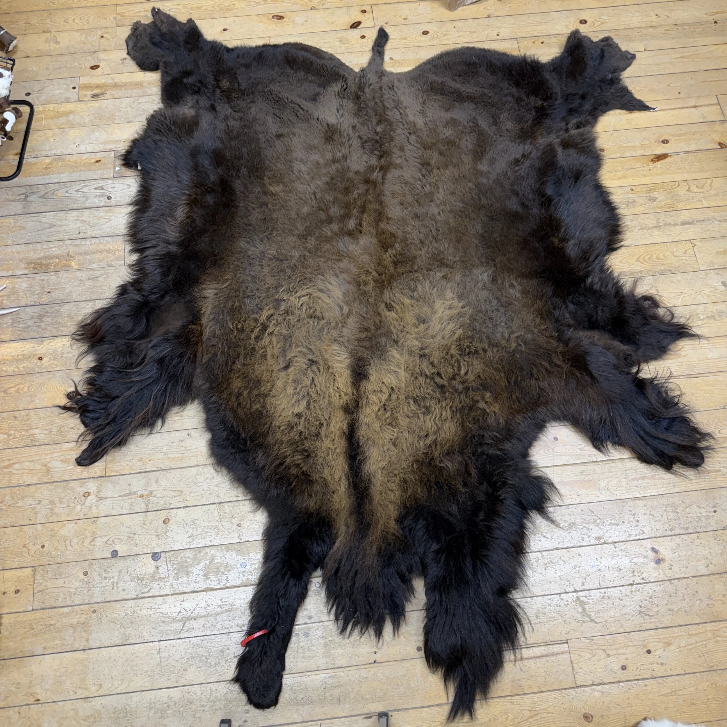 Buffalo Hide #17