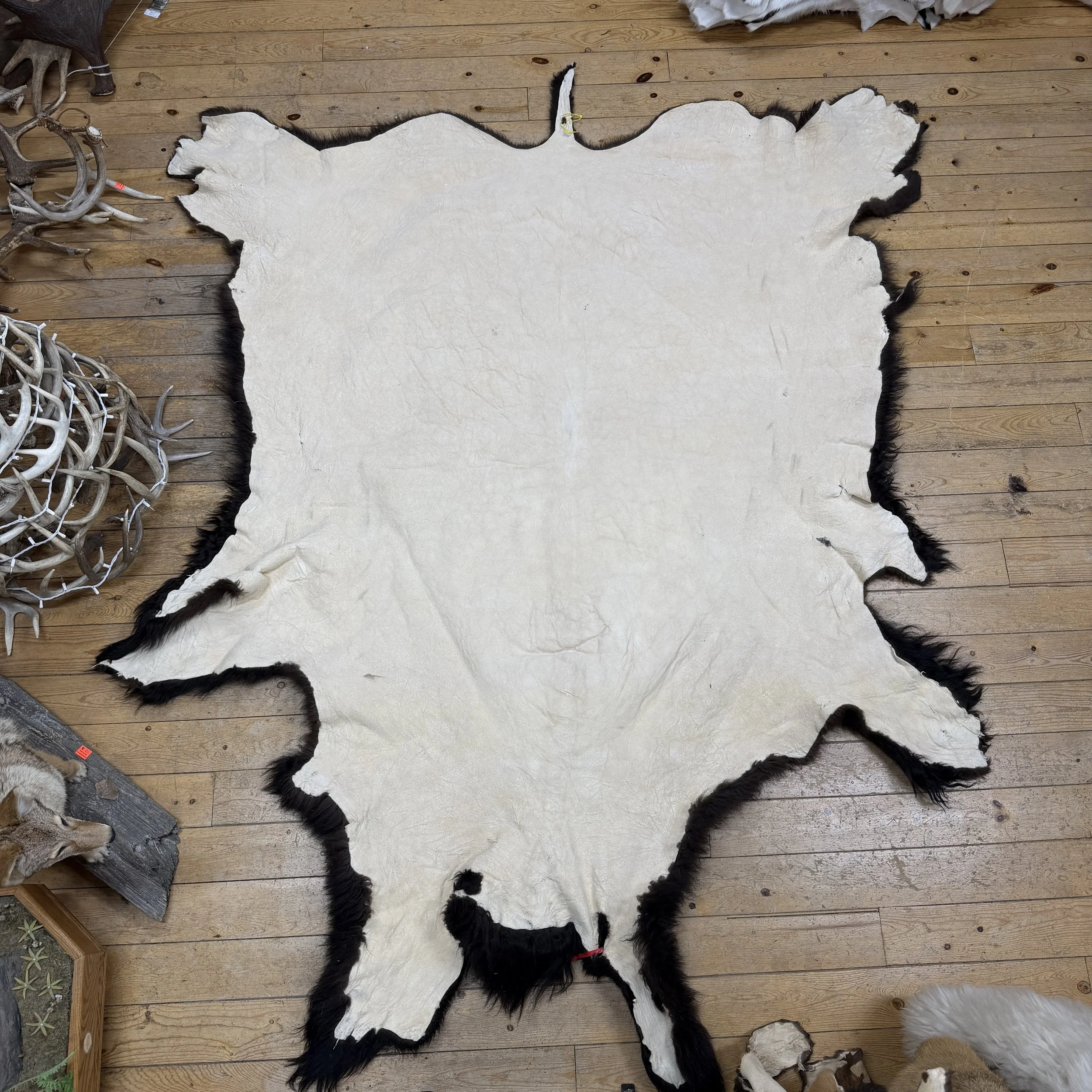 Buffalo Hide